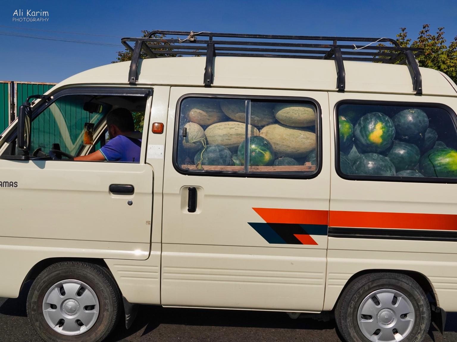 Watermelons out the proverbial wazoo…. Tashkent, Oct 2019, Watermelons out the proverbial wazoo….
