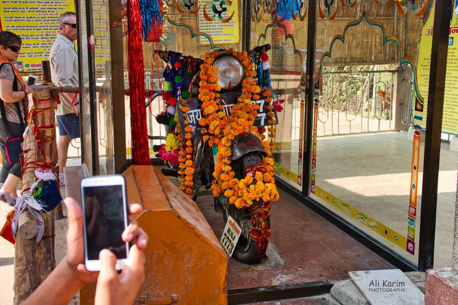 Bullet Baba Leopards, Bera, Rajasthan Bullet Baba