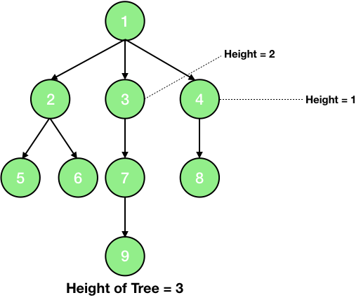 height of tree