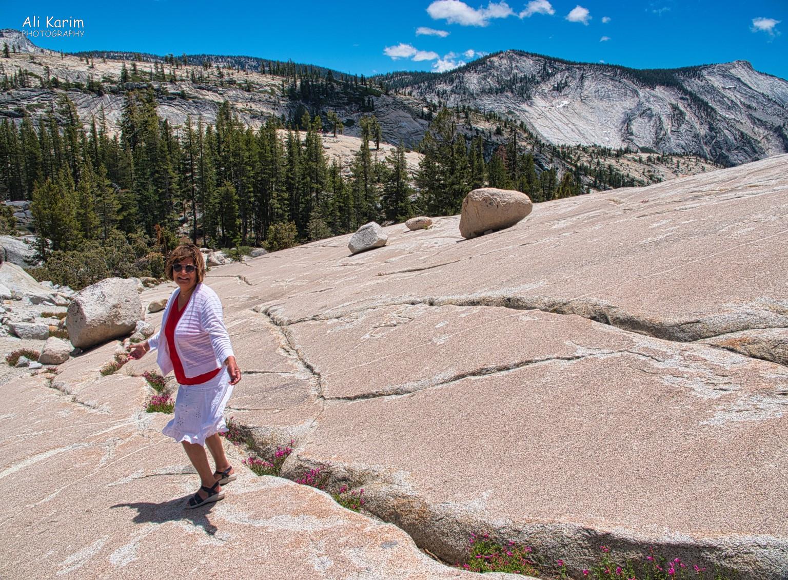 Landscape changed to smooth rock; due to glacial erosion over time Yosemite to Death Valley, June 2020, Landscape changed to smooth rock; due to glacial erosion over time