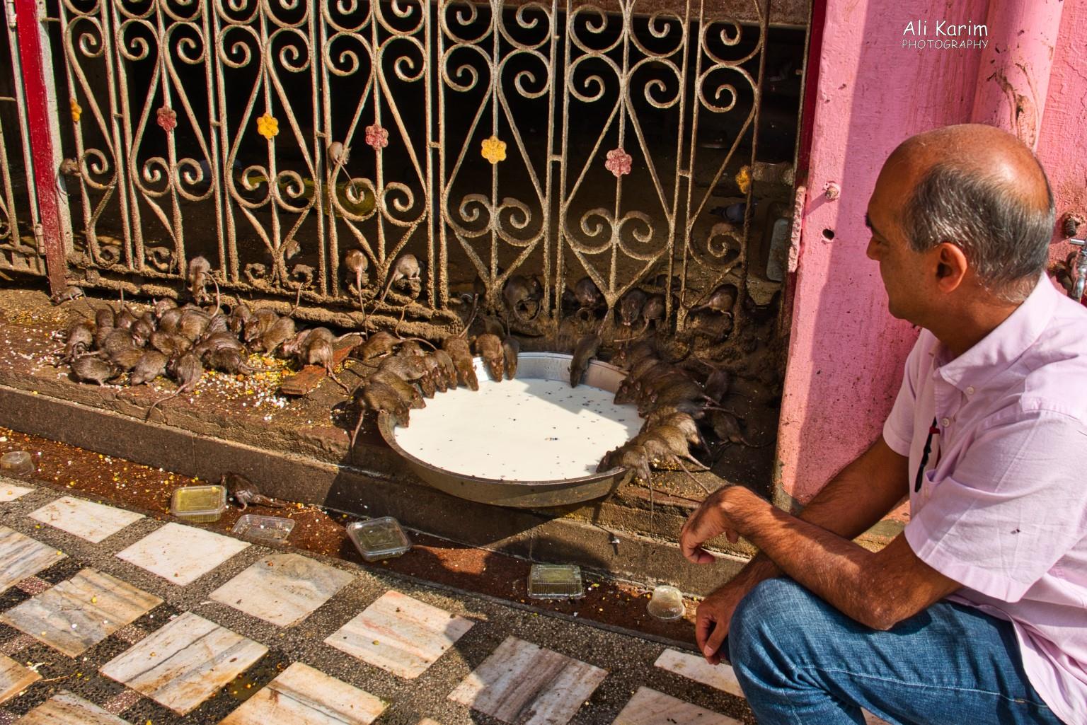 Delicious milk Bikaner, Rajasthan Delicious milk
