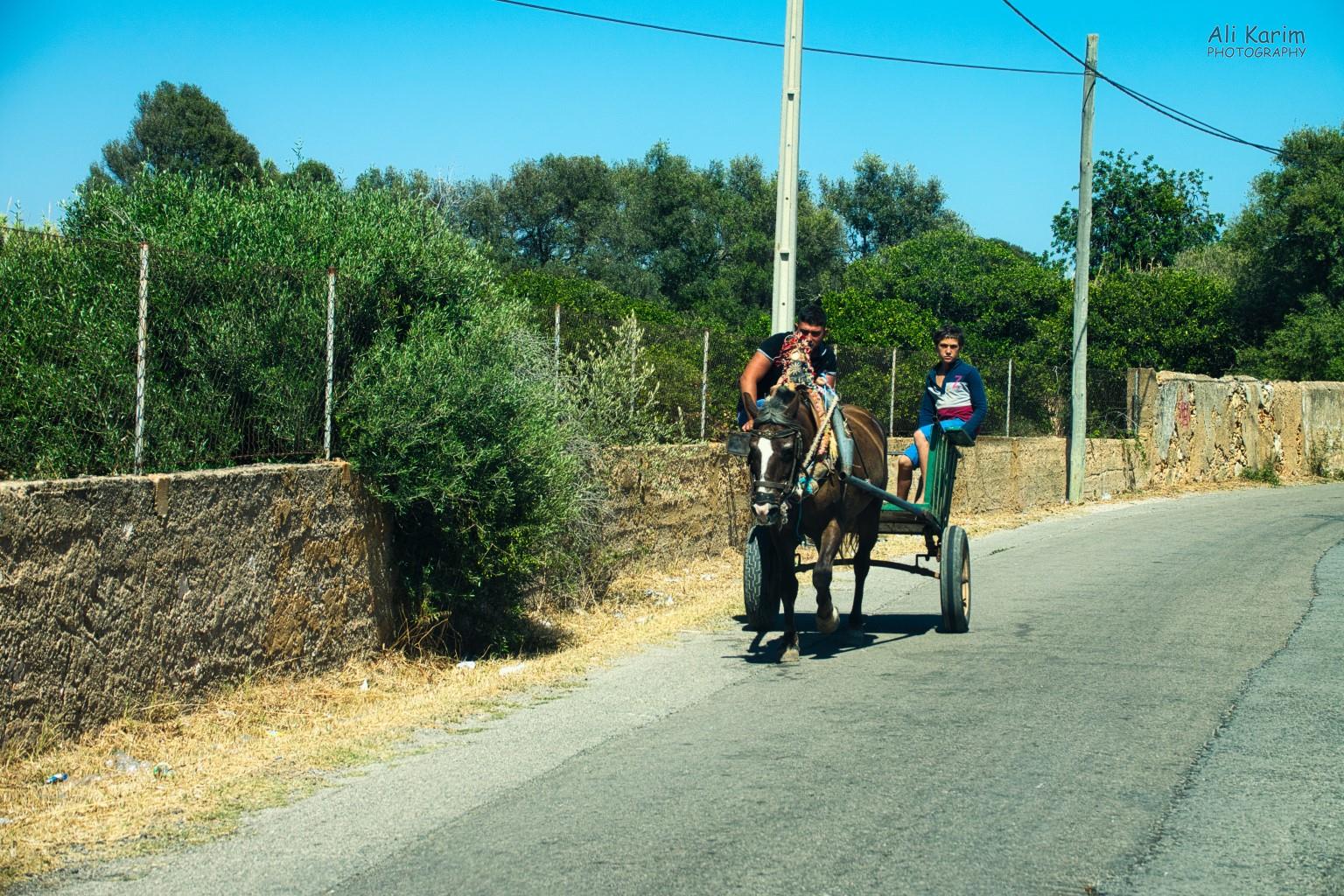 Algarve, Portugal Rural scene on the backroads
