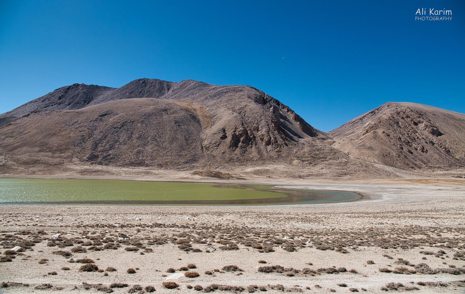 Lake Khargush (Osero Kargush) had a strange green color; algae? Note the moon Langar, Tajikistan, Lake Khargush (Osero Kargush) had a strange green color; algae? Note the moon