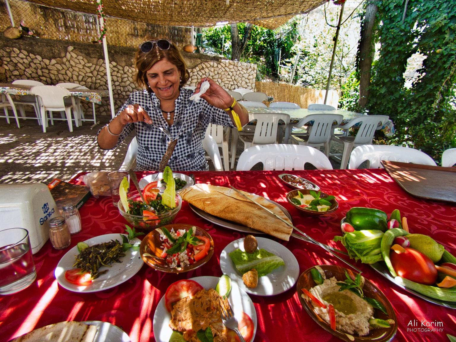4 sticks of Kebabs and pita bread followed Bekaa Valley Winery, Chouf Mountains & the Druze 4 sticks of Kebabs and pita bread followed