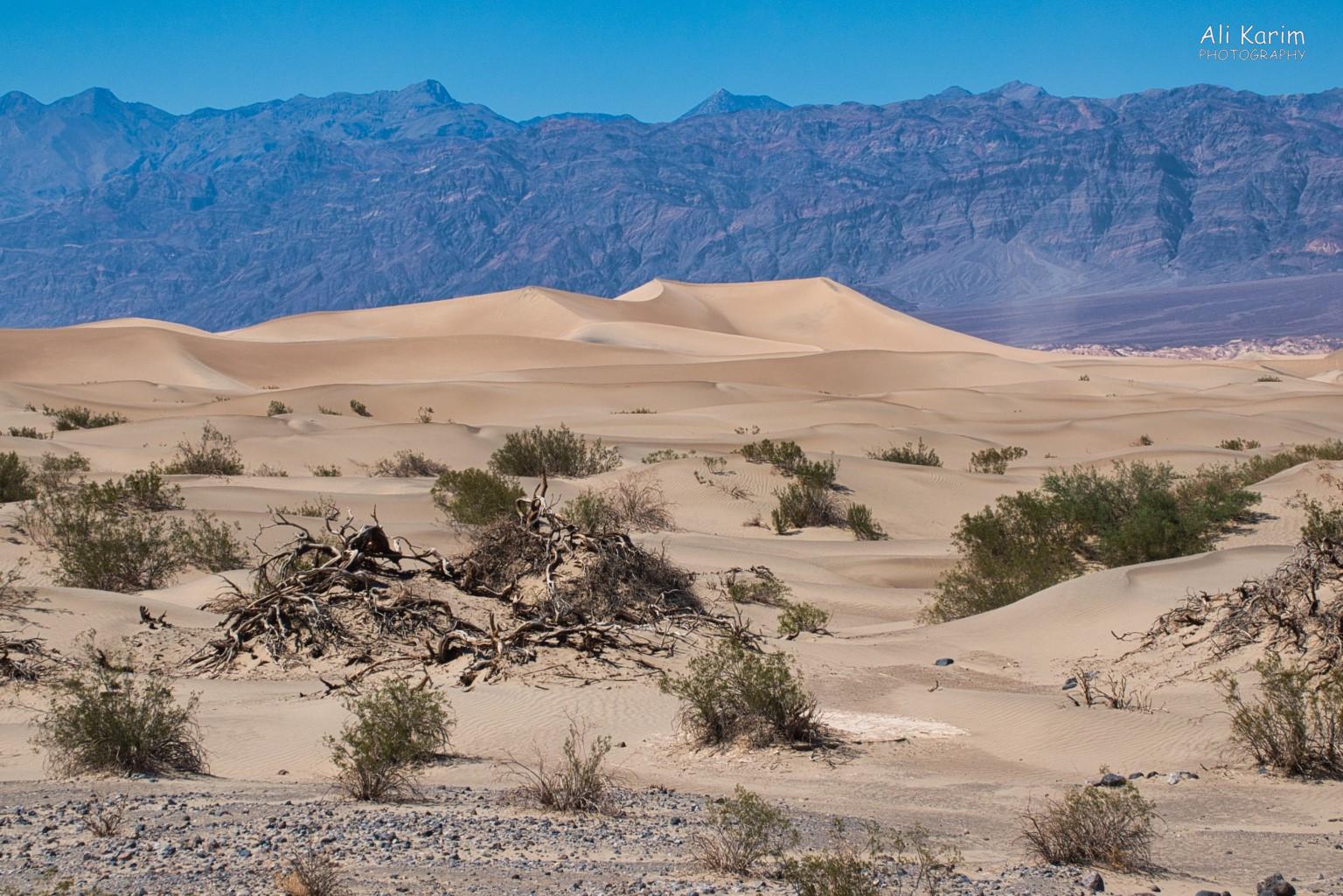 Sand dunes in Death Valley Yosemite to Death Valley, June 2020, Sand dunes in Death Valley
