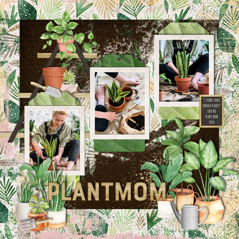 Plant%20Mom.jpg