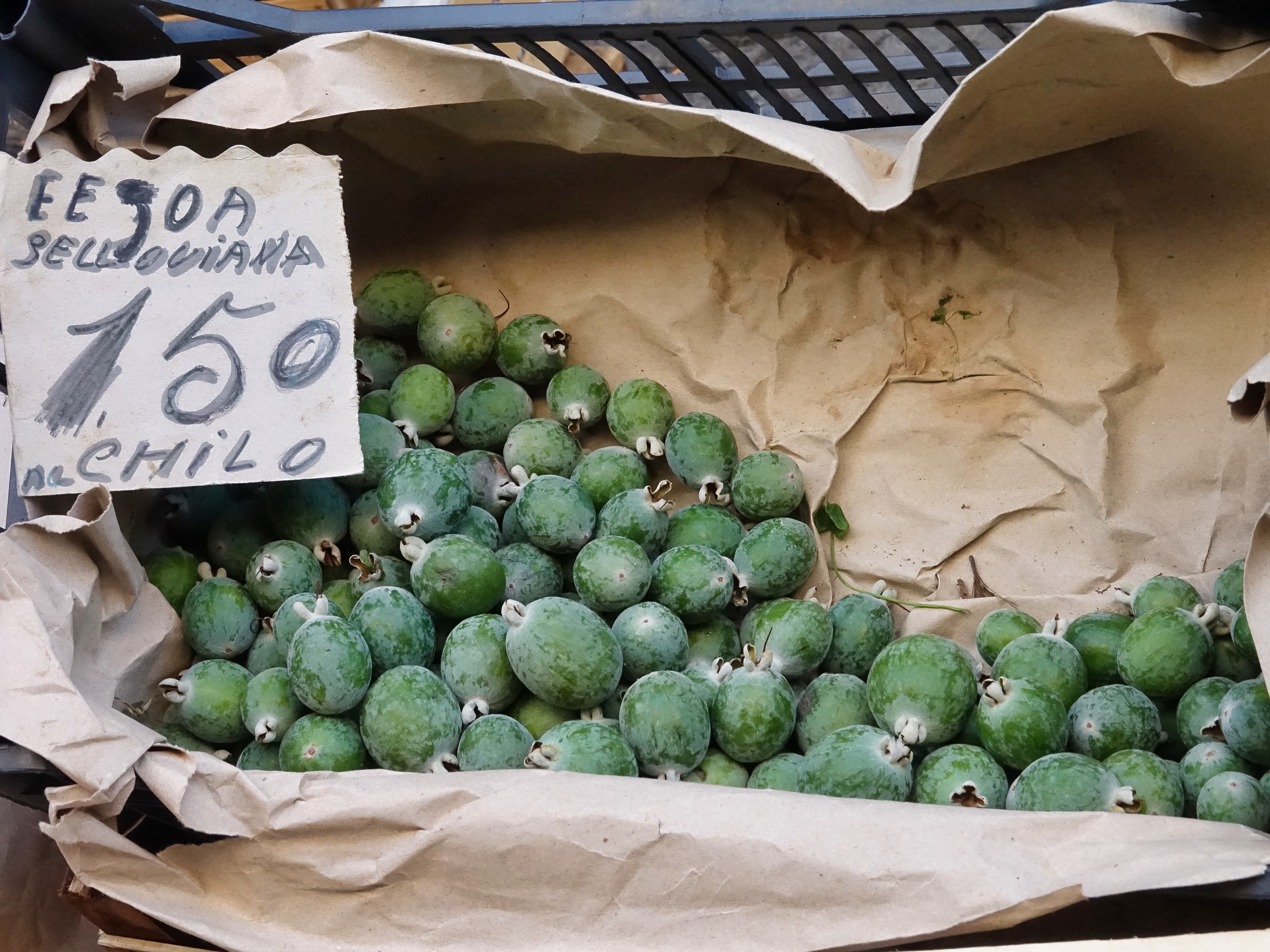 Any idea of what fruit this is? Any idea of what fruit this is?