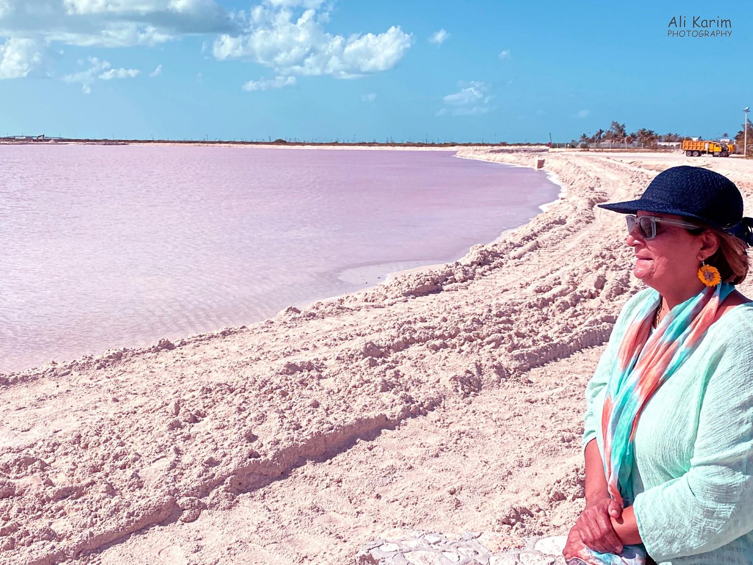 Distinctive pink tones of the salt lakes Valladolid, Yucatan, Mexico Feb 2021, Distinctive pink tones of the salt lakes