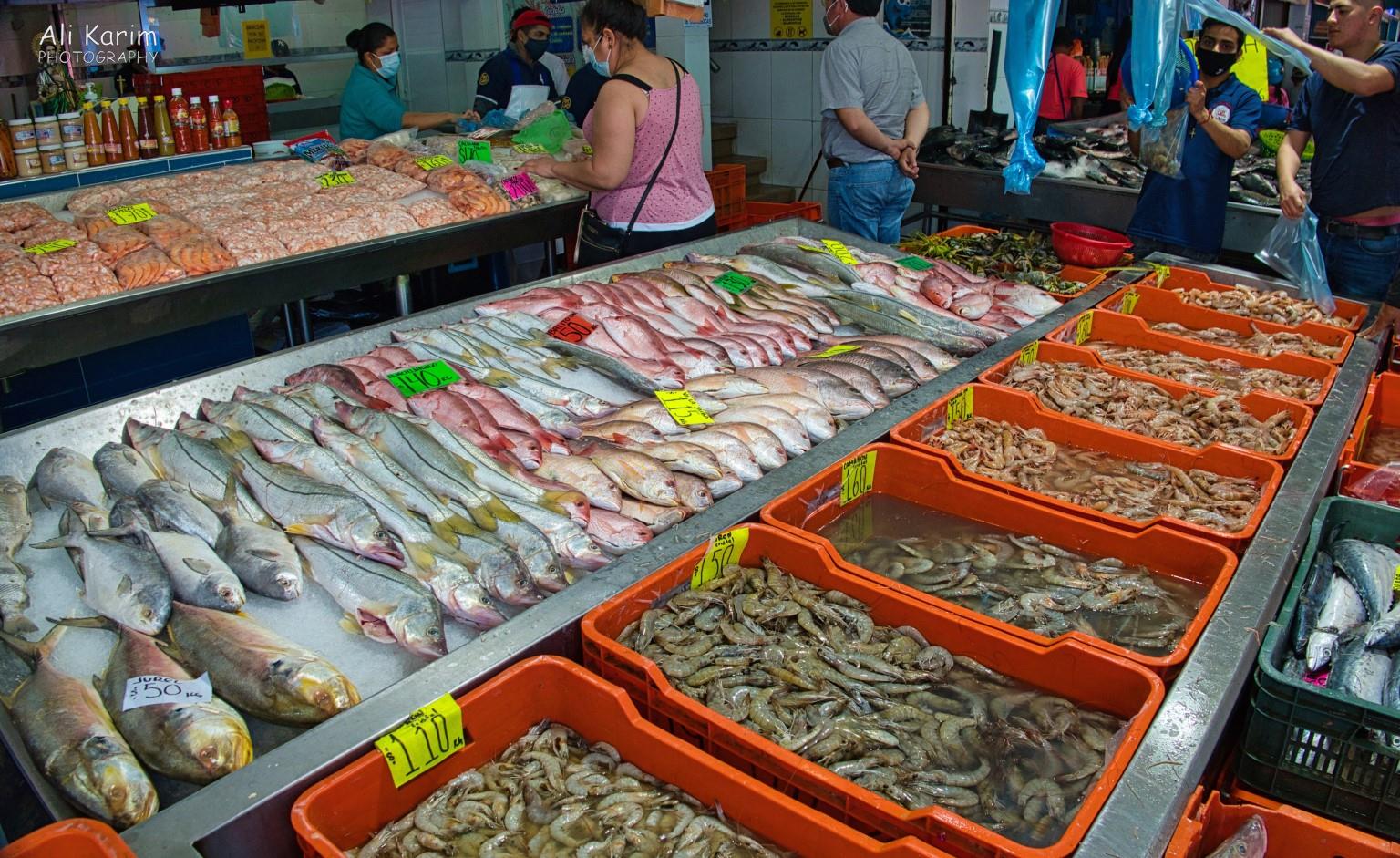 Veracruz, Mexico, December 2020, Lots of different fish and shrimps. Mojarra, huachinago and robalo were popular fishes