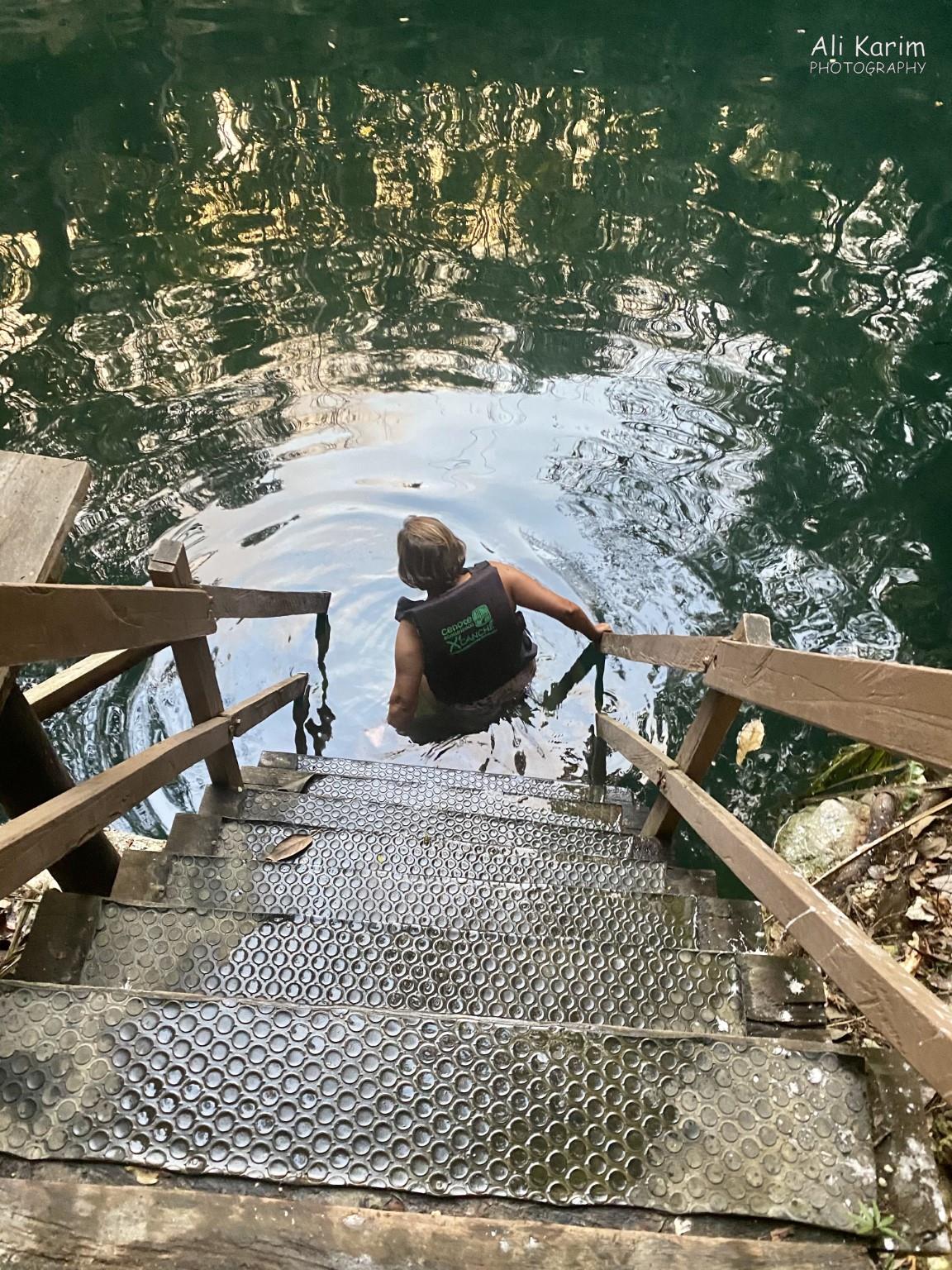 Into the Cenote we go Valladolid, Yucatan, Mexico Feb 2021, Into the Cenote we go