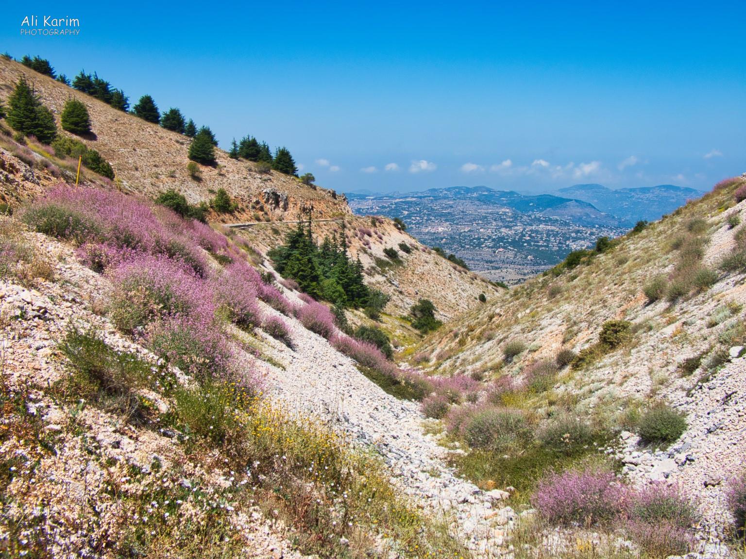 Druze and the Chouf Mountains Chouf Mountains scenery