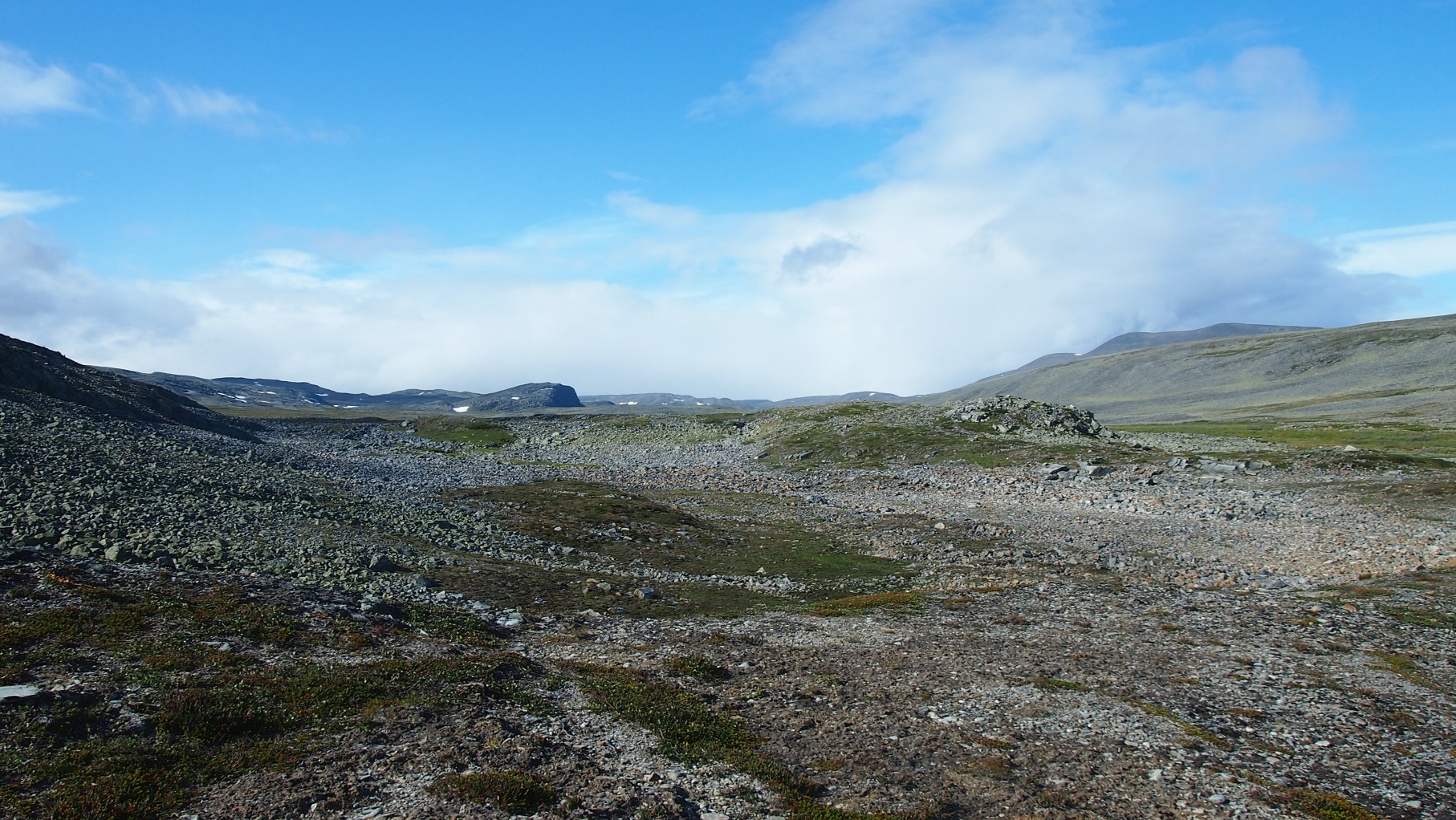 Kivikkoa.
