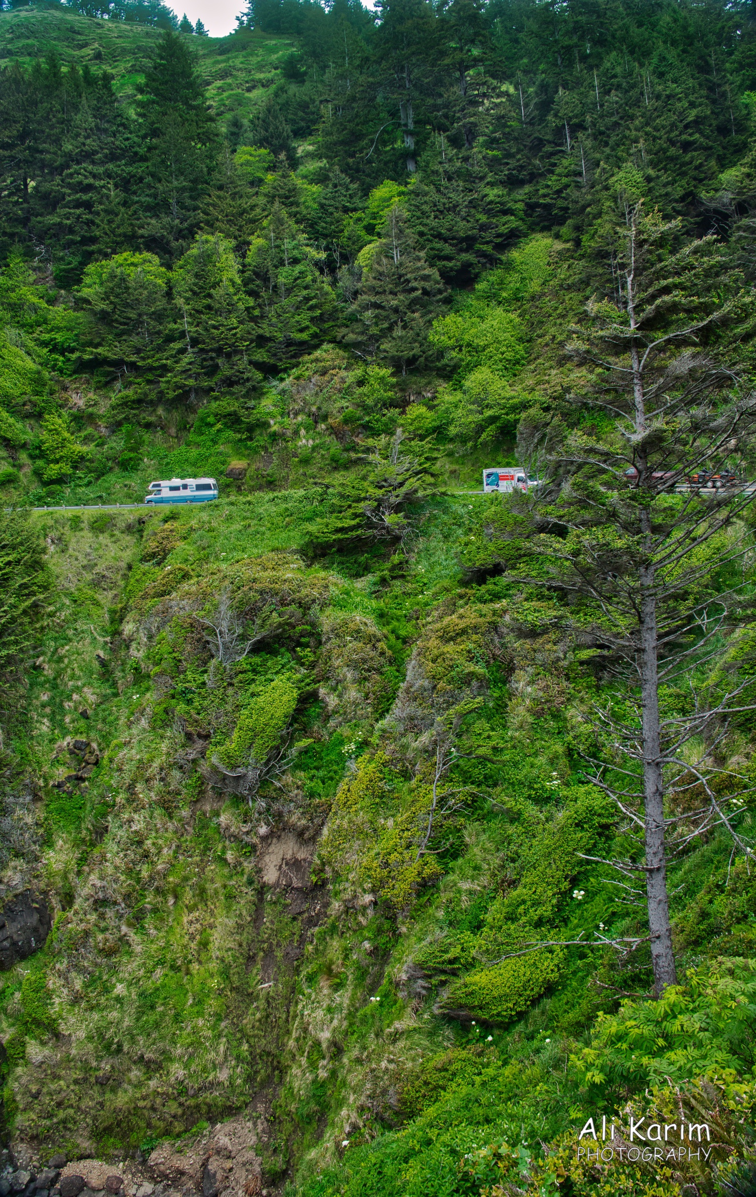 Hwy 101 Hwy 101