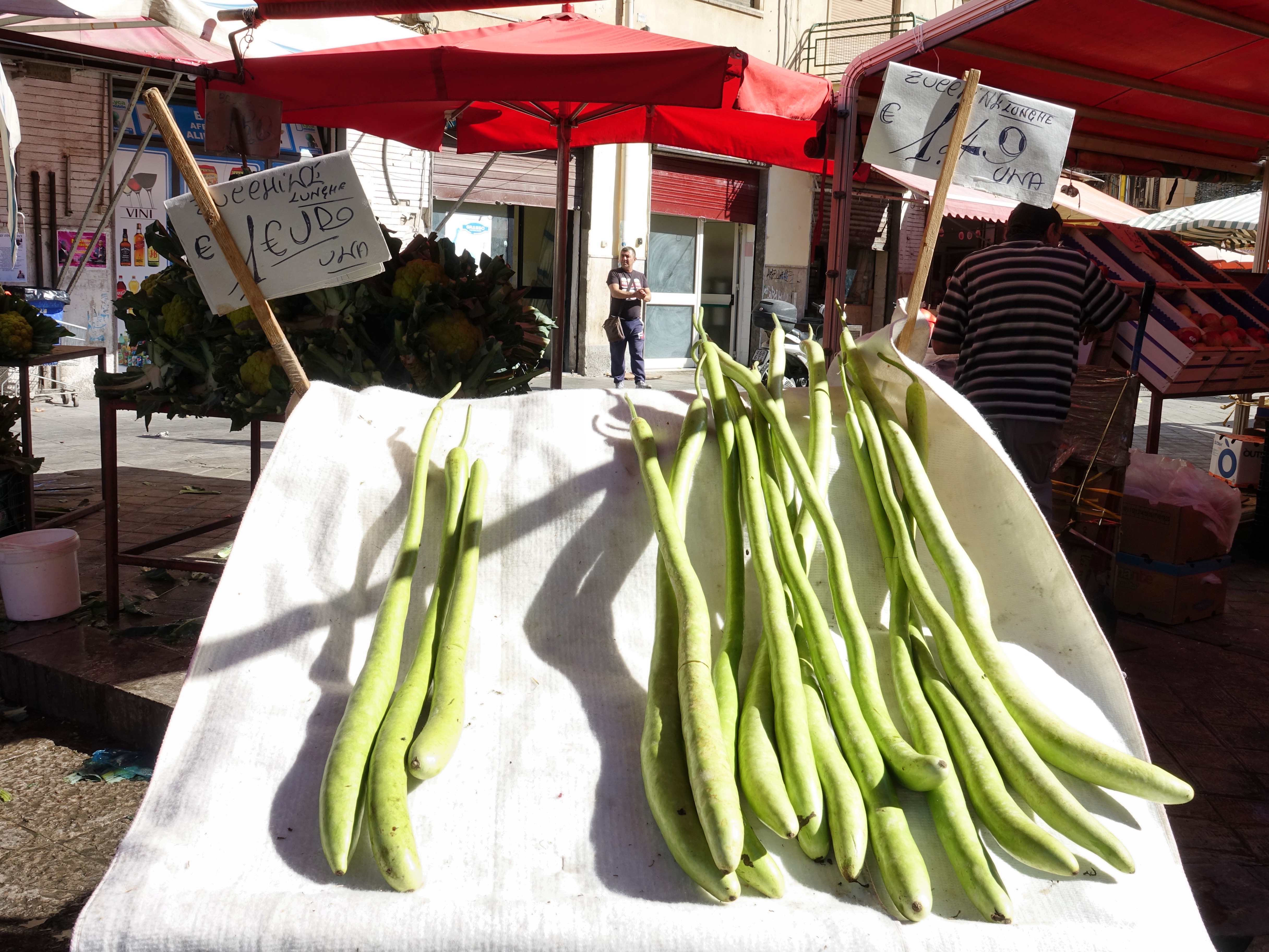 Anyone know this vegetable? Anyone know this vegetable?