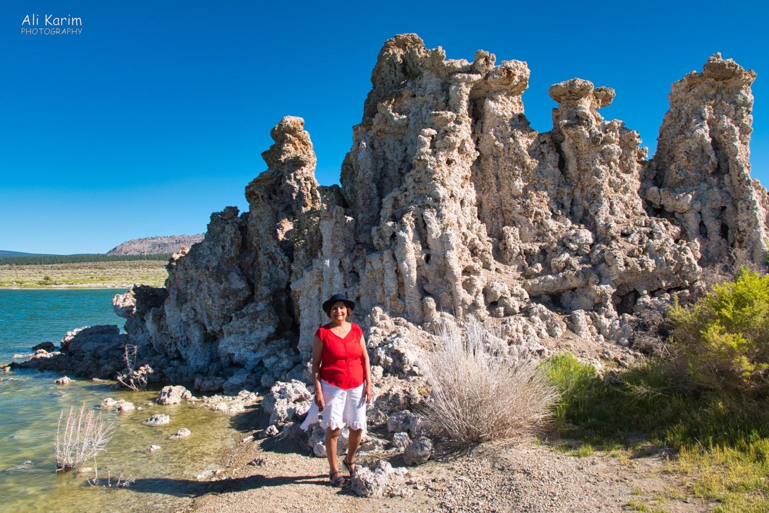 Yosemite to Death Valley, June 2020, Close up of tufa towers built up over hundreds of years at the edge of the lake