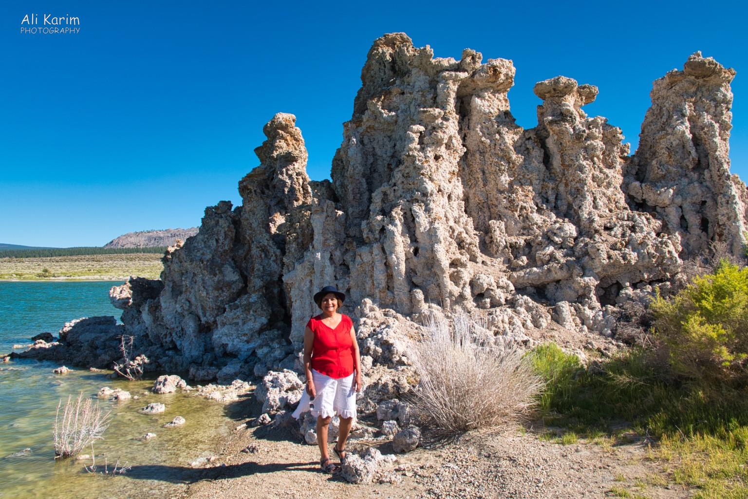 Close up of tufa towers built up over hundreds of years at the edge of the lake Yosemite to Death Valley, June 2020, Close up of tufa towers built up over hundreds of years at the edge of the lake
