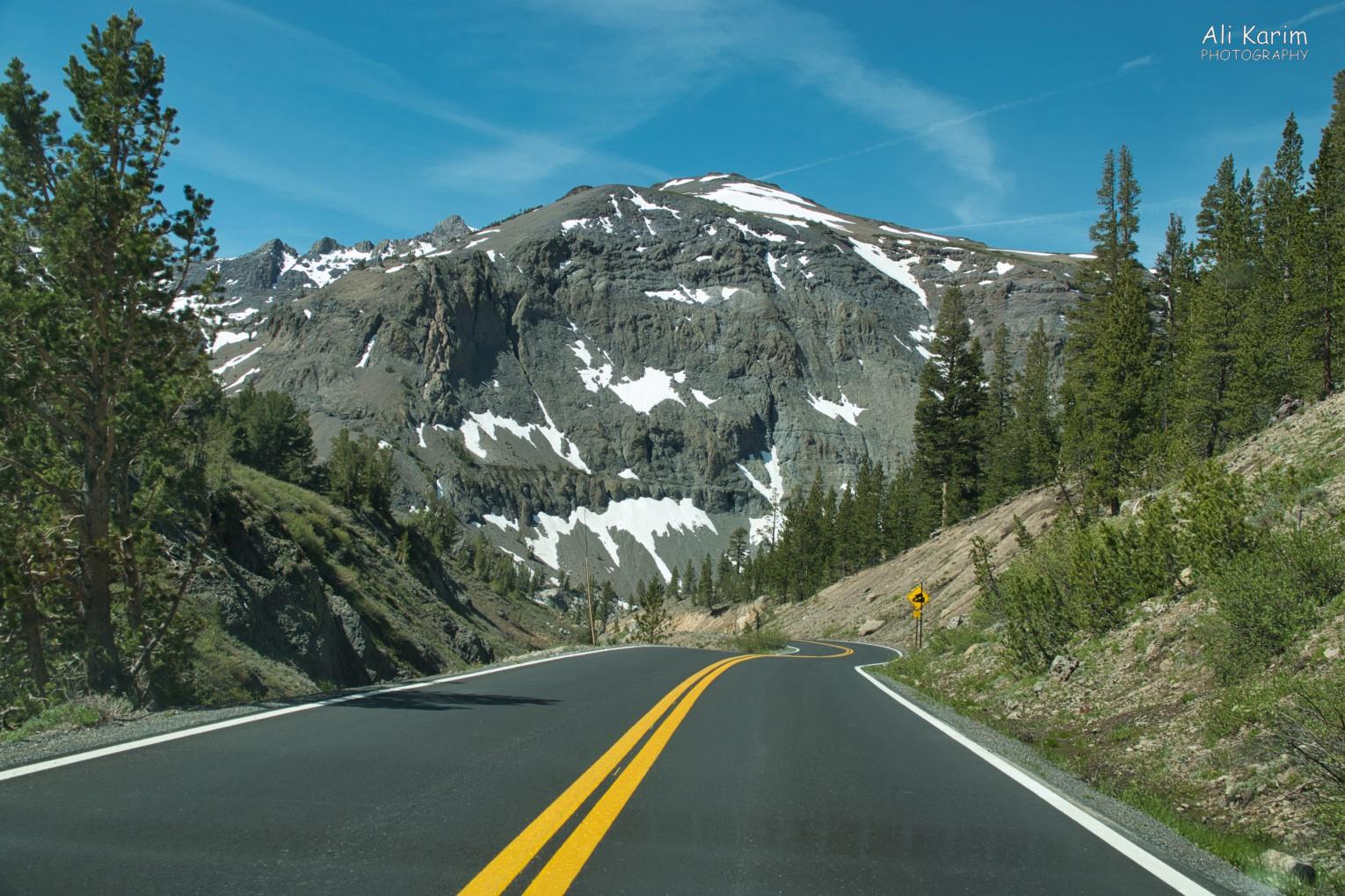 Scenic drive Yosemite & Death Valley, June 2020, Scenic drive