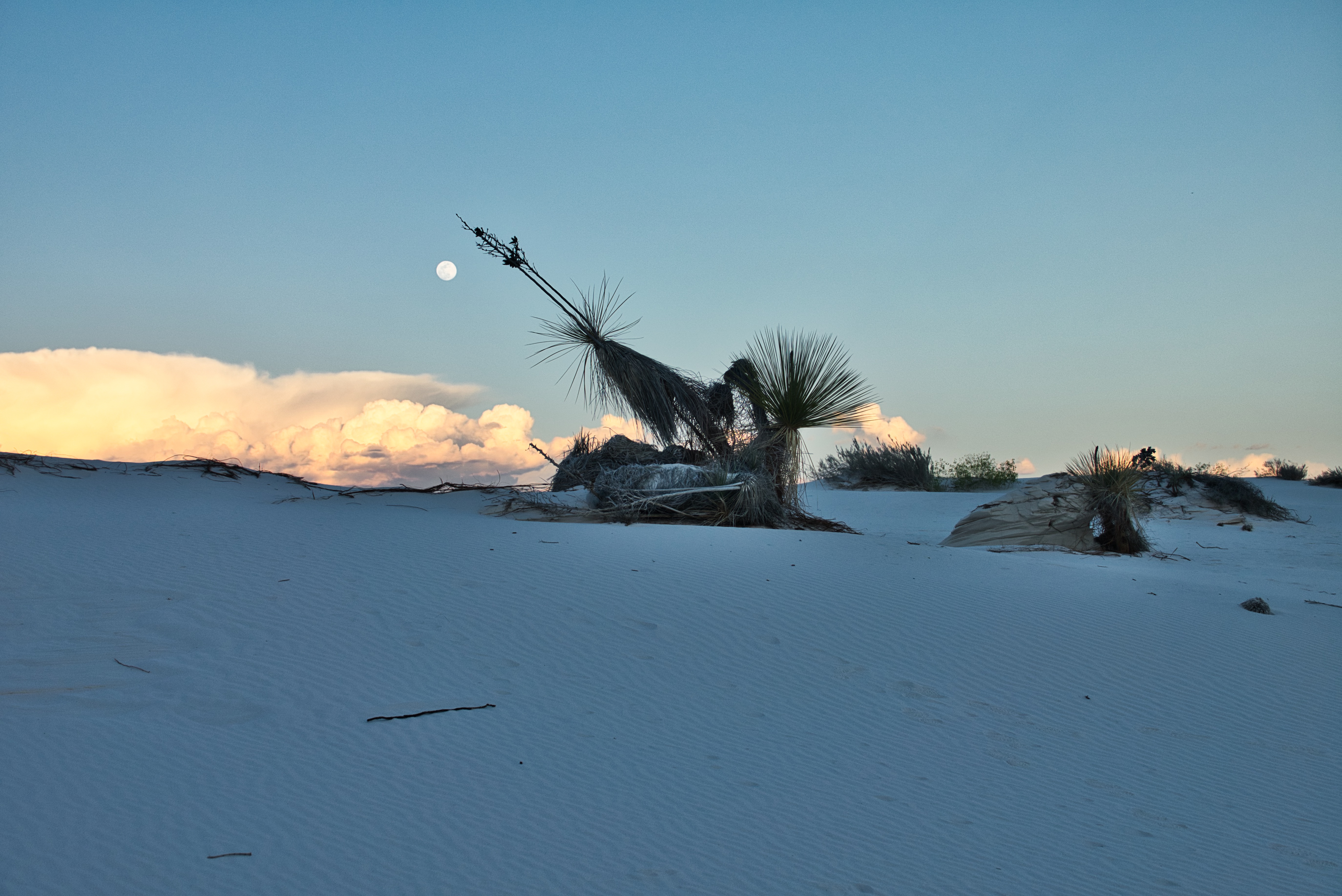 And the Moon rise over the desert and Sacramento mountains And the Moon rise over the desert and Sacramento mountains