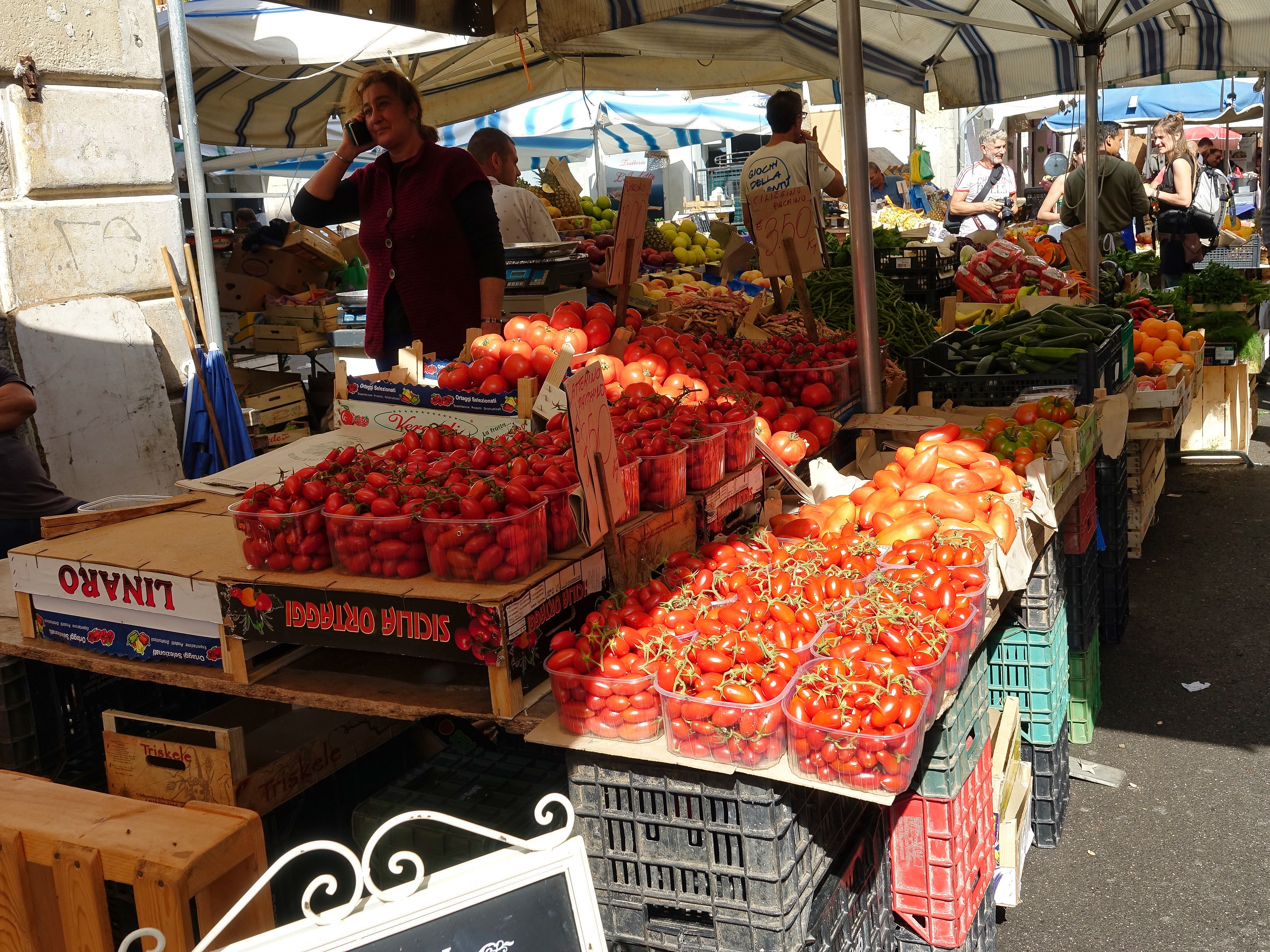 Tomatoes galore Tomatoes galore