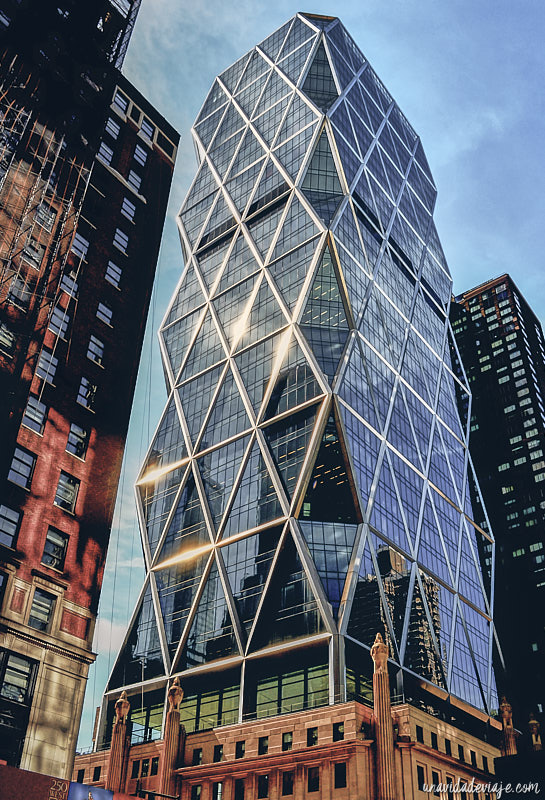 que ver gratis en nueva york