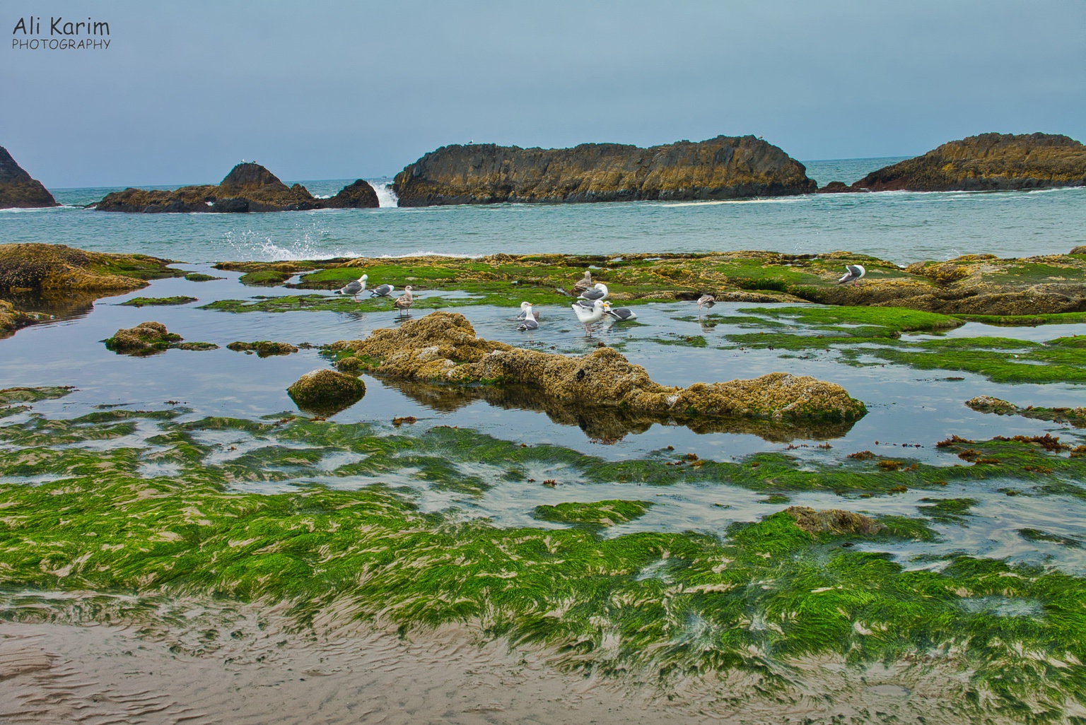 More beautiful coastline Oregon Coast Hwy 101 More beautiful coastline