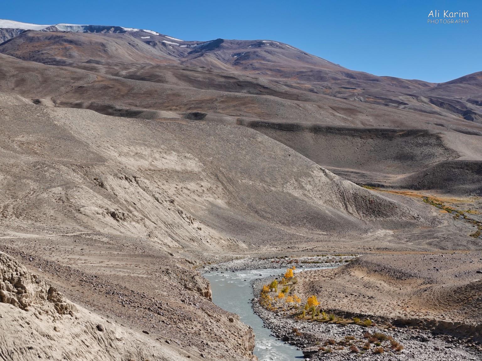 View of Afghanistan mountains on left; some very sparse and few trees along the Panj Langar, Tajikistan, View of Afghanistan mountains on left; some very sparse and few trees along the Panj