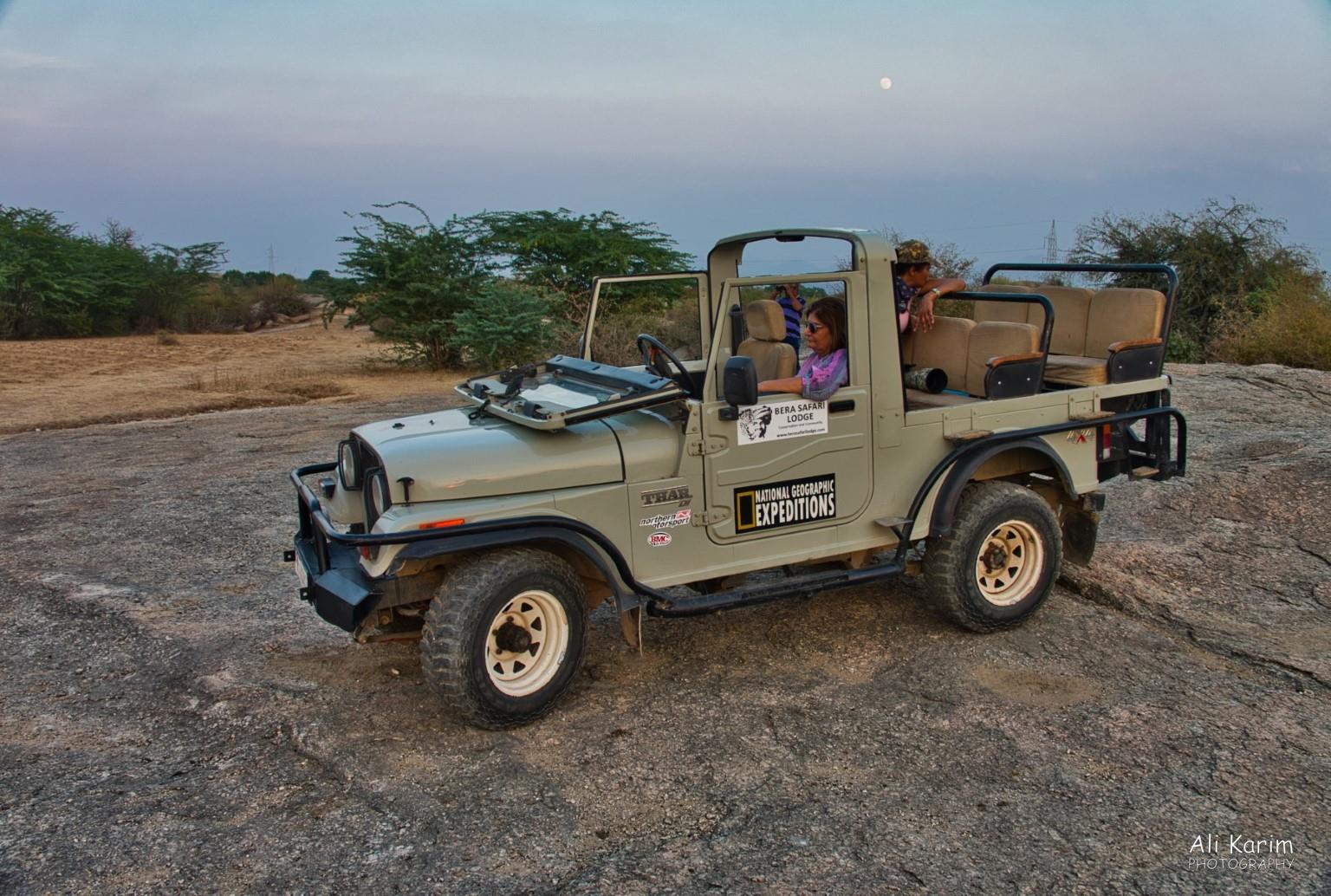 Our first drive to spot leopards was that evening Leopards, Bera, Rajasthan Our first drive to spot leopards was that evening