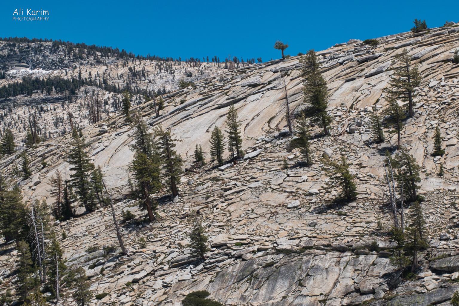 Interesting landscape Yosemite to Death Valley, June 2020, Interesting landscape