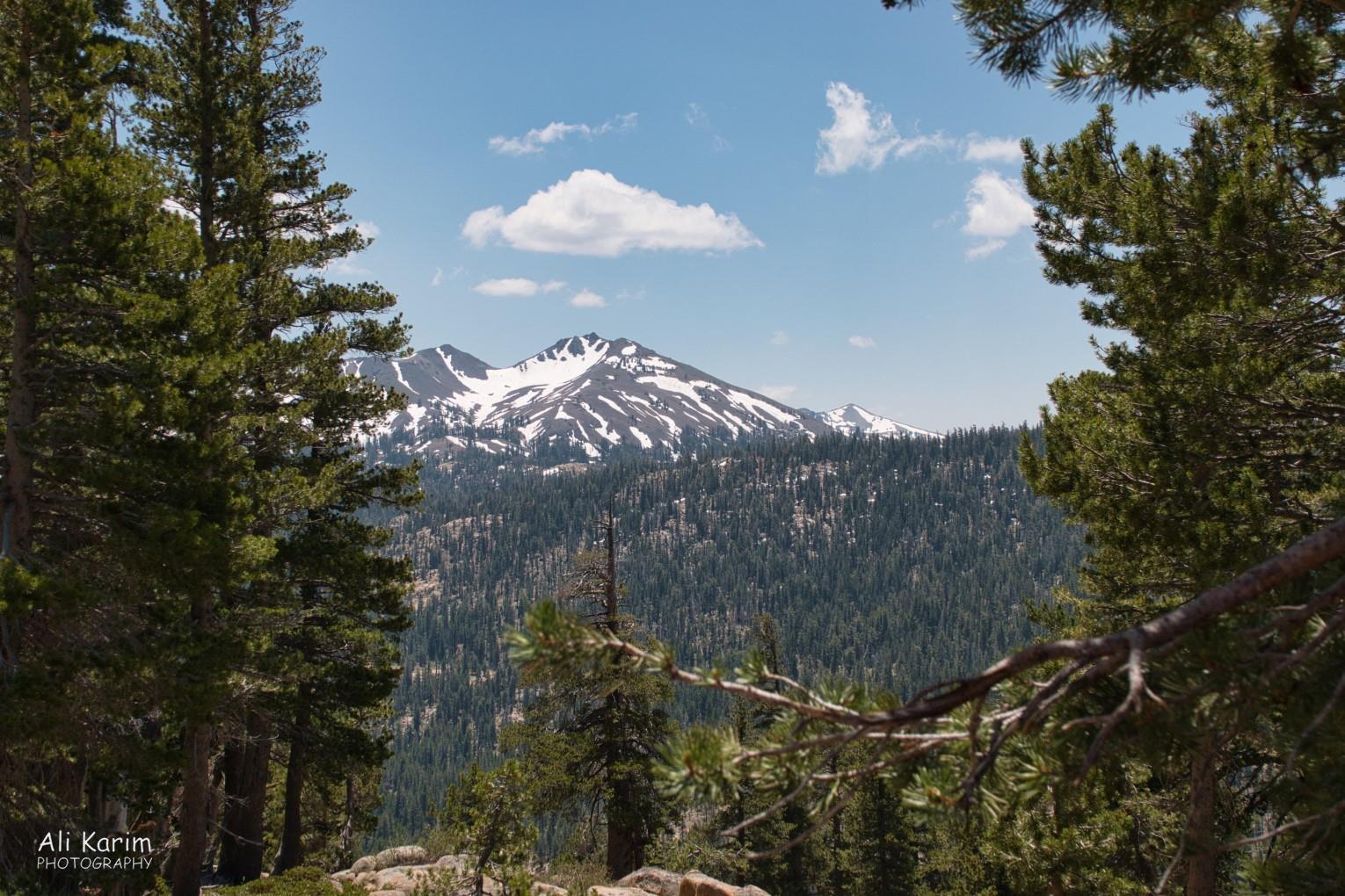 Beautiful scenery along the way Yosemite & Death Valley, June 2020, Beautiful scenery along the way
