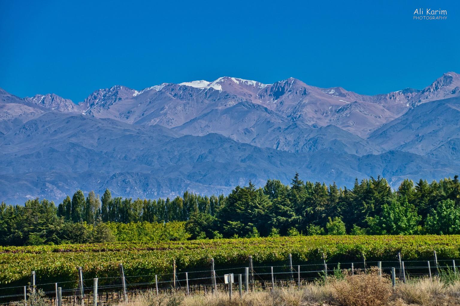 Amazing views in Tupungato wine route Mendoza, Argentina Amazing views in Tupungato wine route