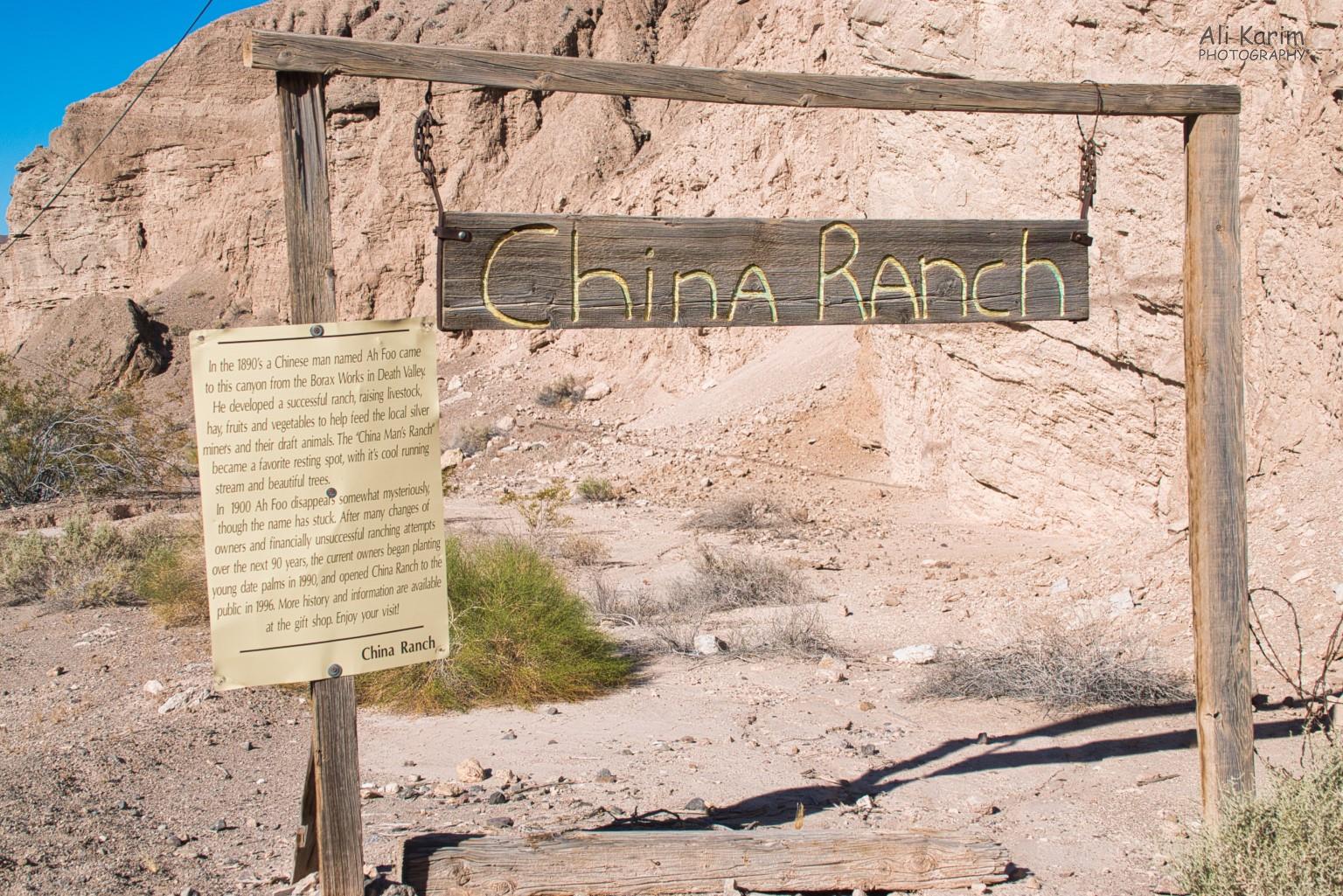 Death Valley National Park, June 2020, China Ranch story
