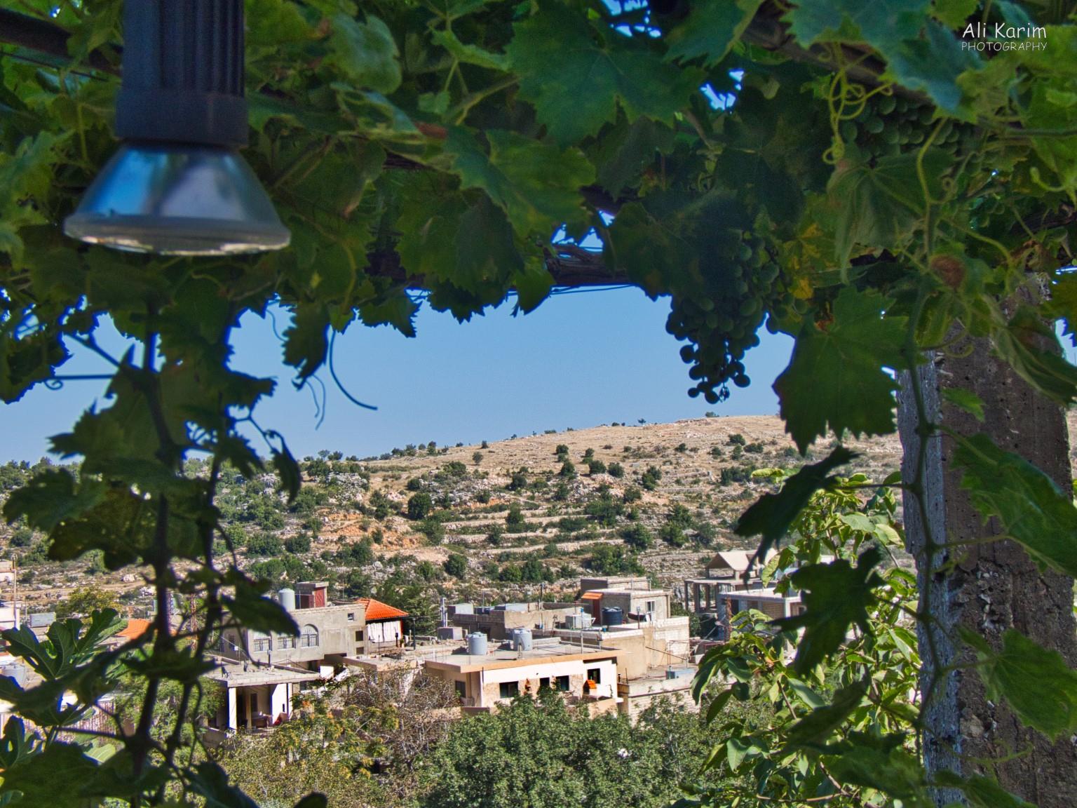 View from our bedroom Bekaa Valley Winery, Chouf Mountains & the Druze View from our bedroom