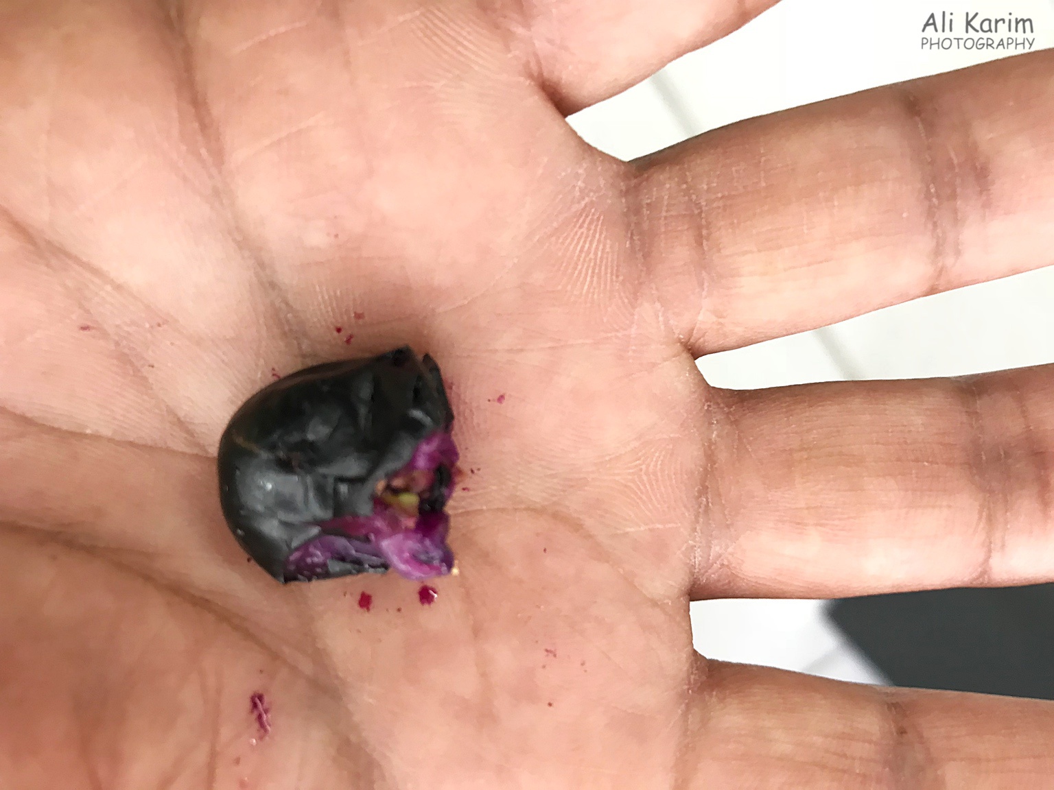 This is a fruit we used to get in Kenya, and we called it “Jambura”; not sure of the English name. But it was not available in the supermarket; only fell from the tree and got wasted. Florianópolis, Brazil This is a fruit we used to get in Kenya, and we called it “Jambura”; not sure of the English name. But it was not available in the supermarket; only fell from the tree and got wasted.