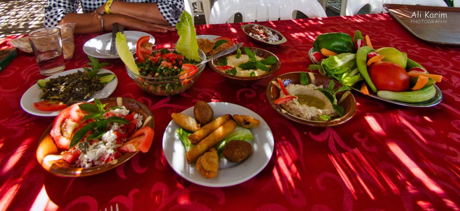 Meze of dishes; fresh salad, humus, kibbek, tabouli, tahini, nuts, snack that was fried and another dish we had no idea what it was Bekaa Valley Winery, Chouf Mountains & the Druze Meze of dishes; fresh salad, humus, kibbek, tabouli, tahini, nuts, snack that was fried and another dish we had no idea what it was