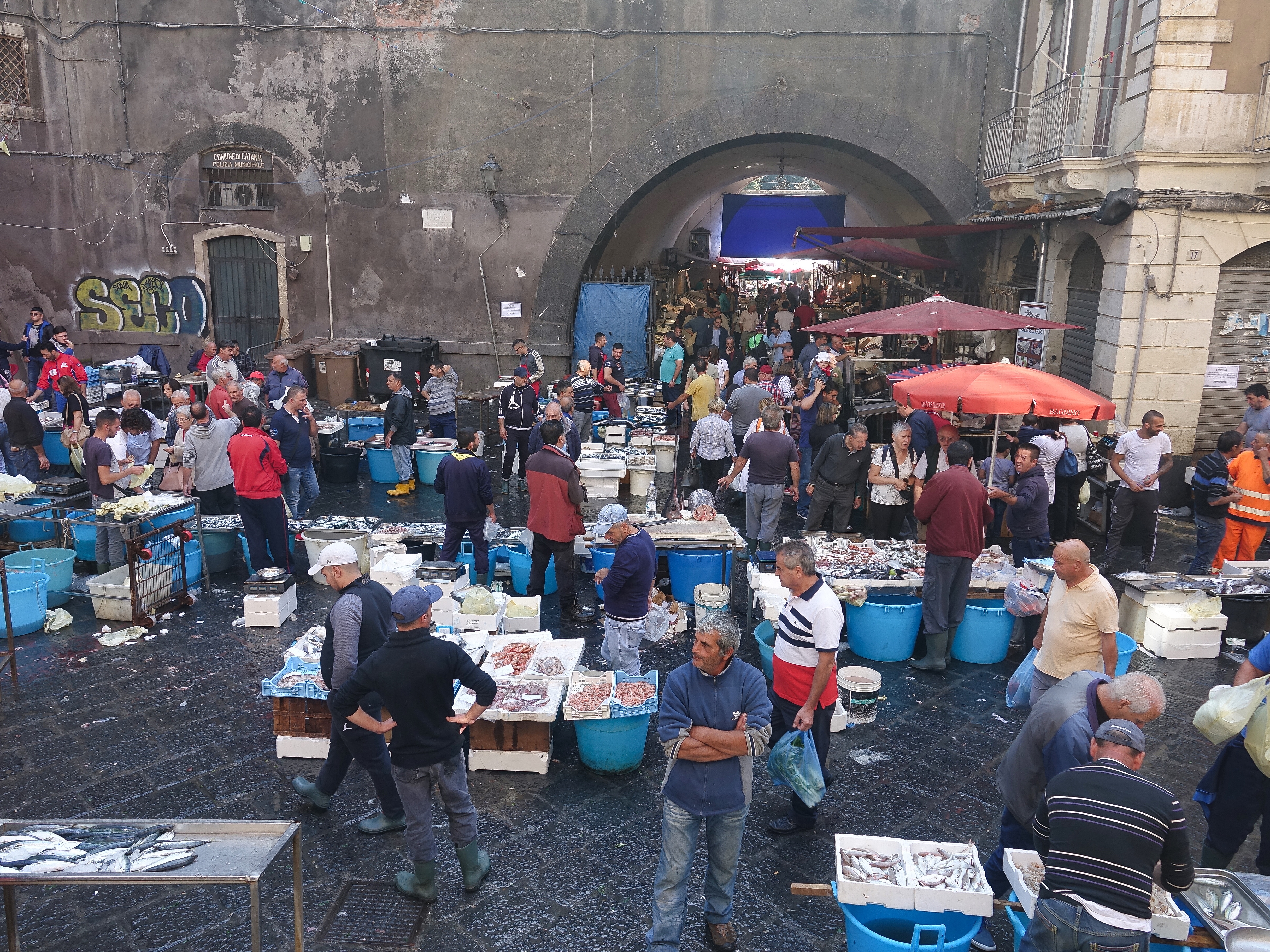 Fish Market Fish Market