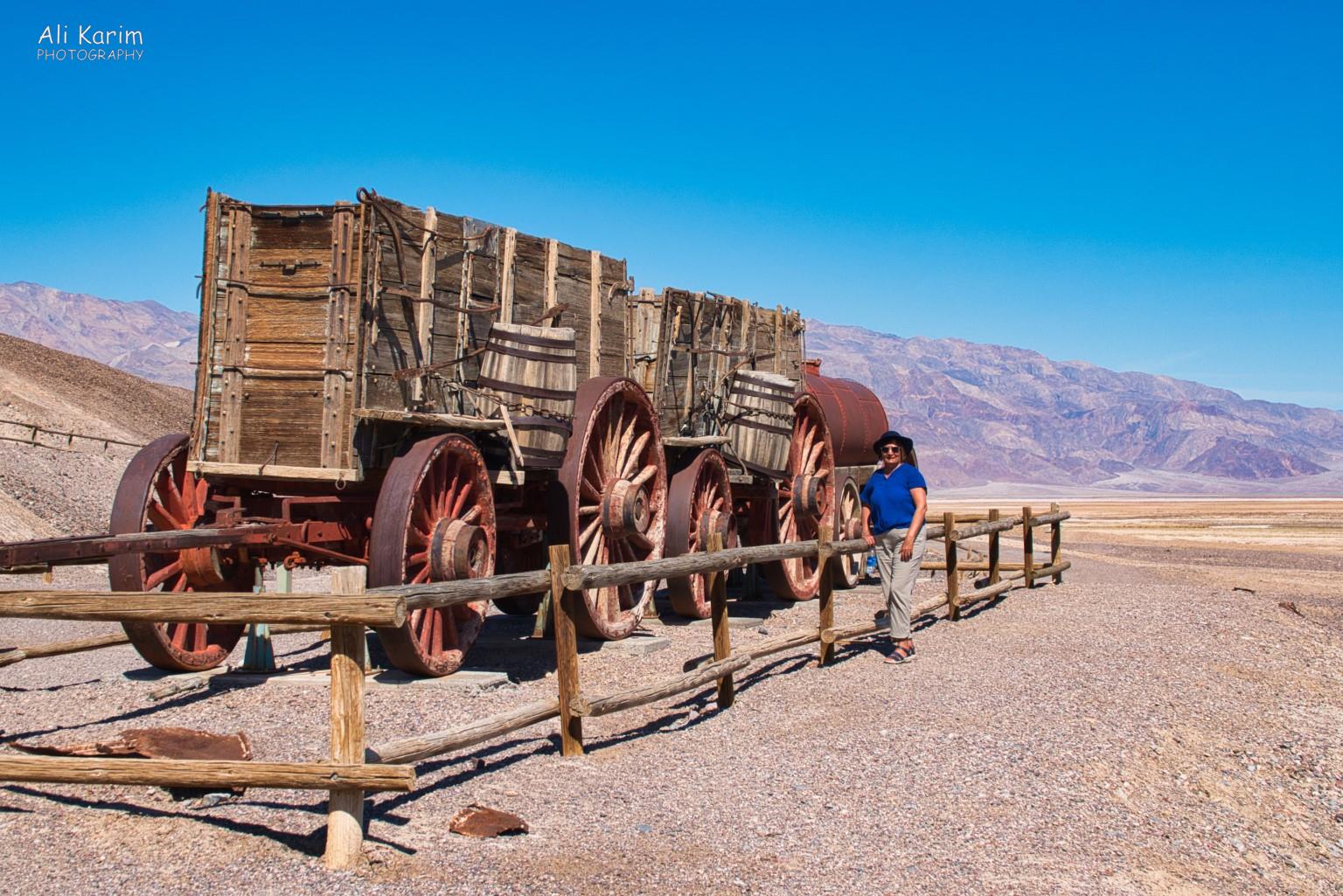 Checking out original 20 Mule Team Borax wagons used to transport Borax and drinking water Death Valley National Park, June 2020, Checking out original 20 Mule Team Borax wagons used to transport Borax and drinking water
