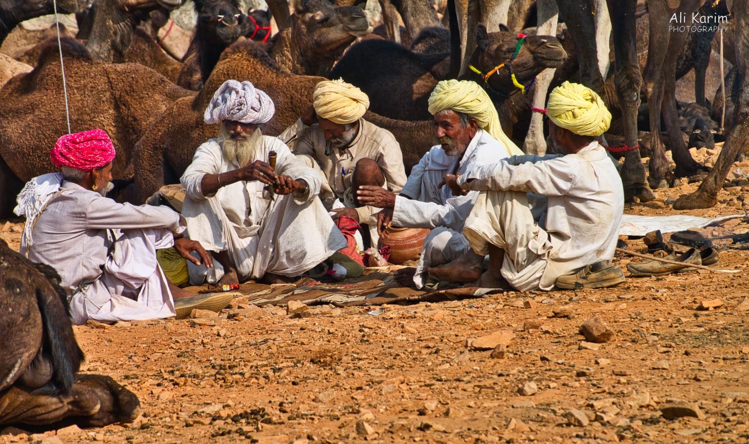 More camels and owners whiling the time. Love their turbans Pushkar, Rajasthan More camels and owners whiling the time. Love their turbans