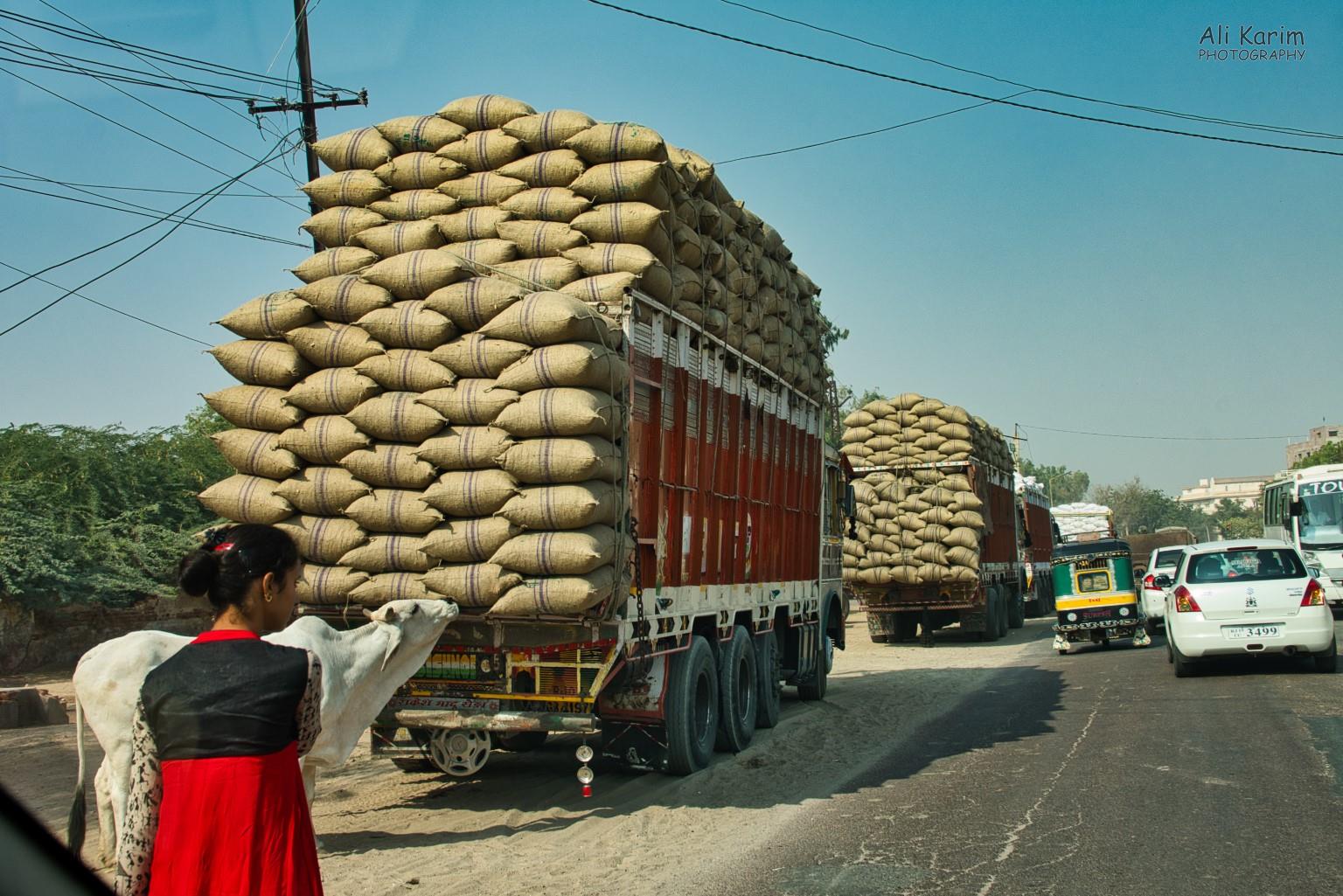 Heavily laden food trucks Bikaner, Rajasthan Heavily laden food trucks