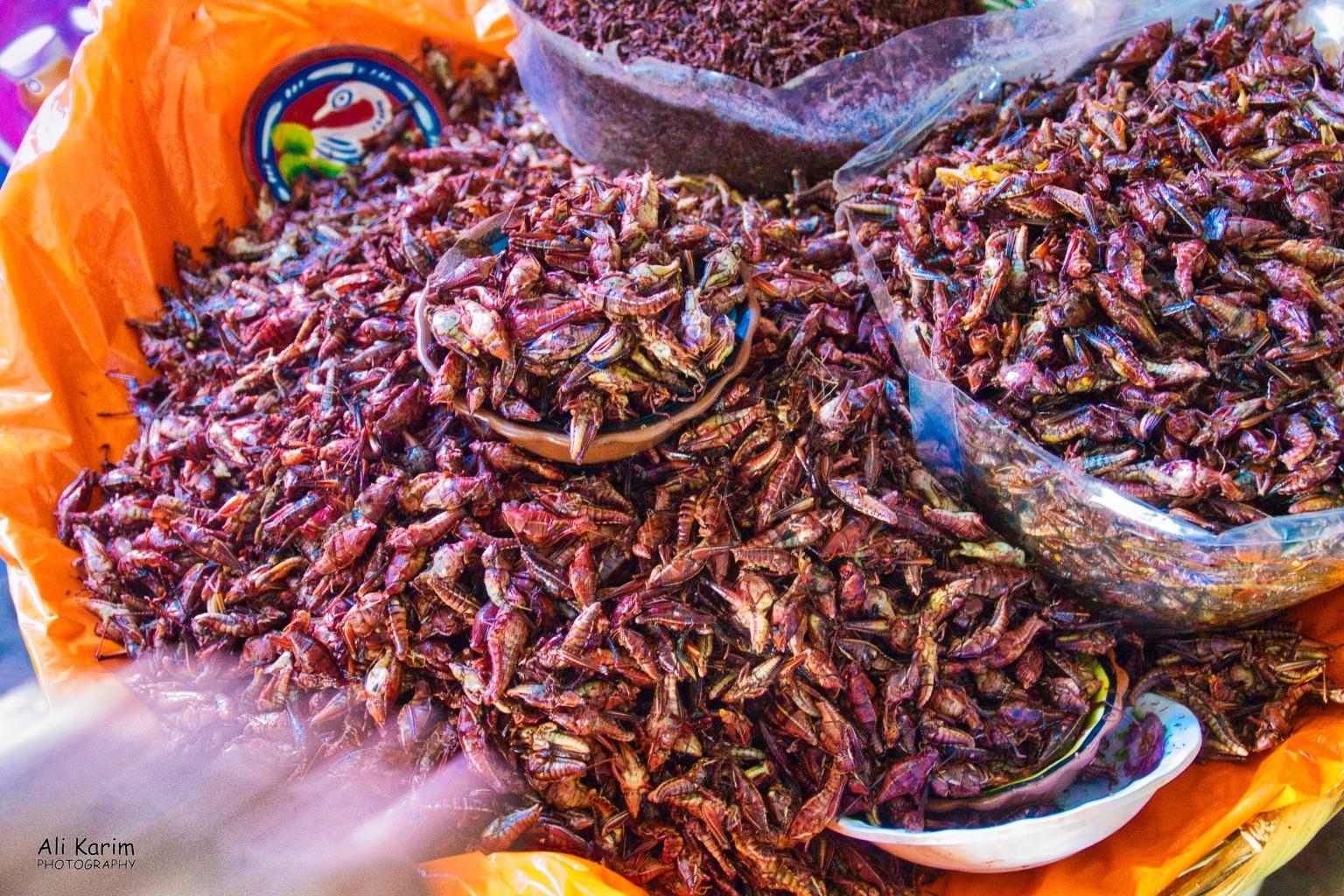 Oaxaca, Mexico One specialty of this area is fried grasshopper and fried worms (in the back). They fry these with spices, so they are very tasty to snack on, with beer :)