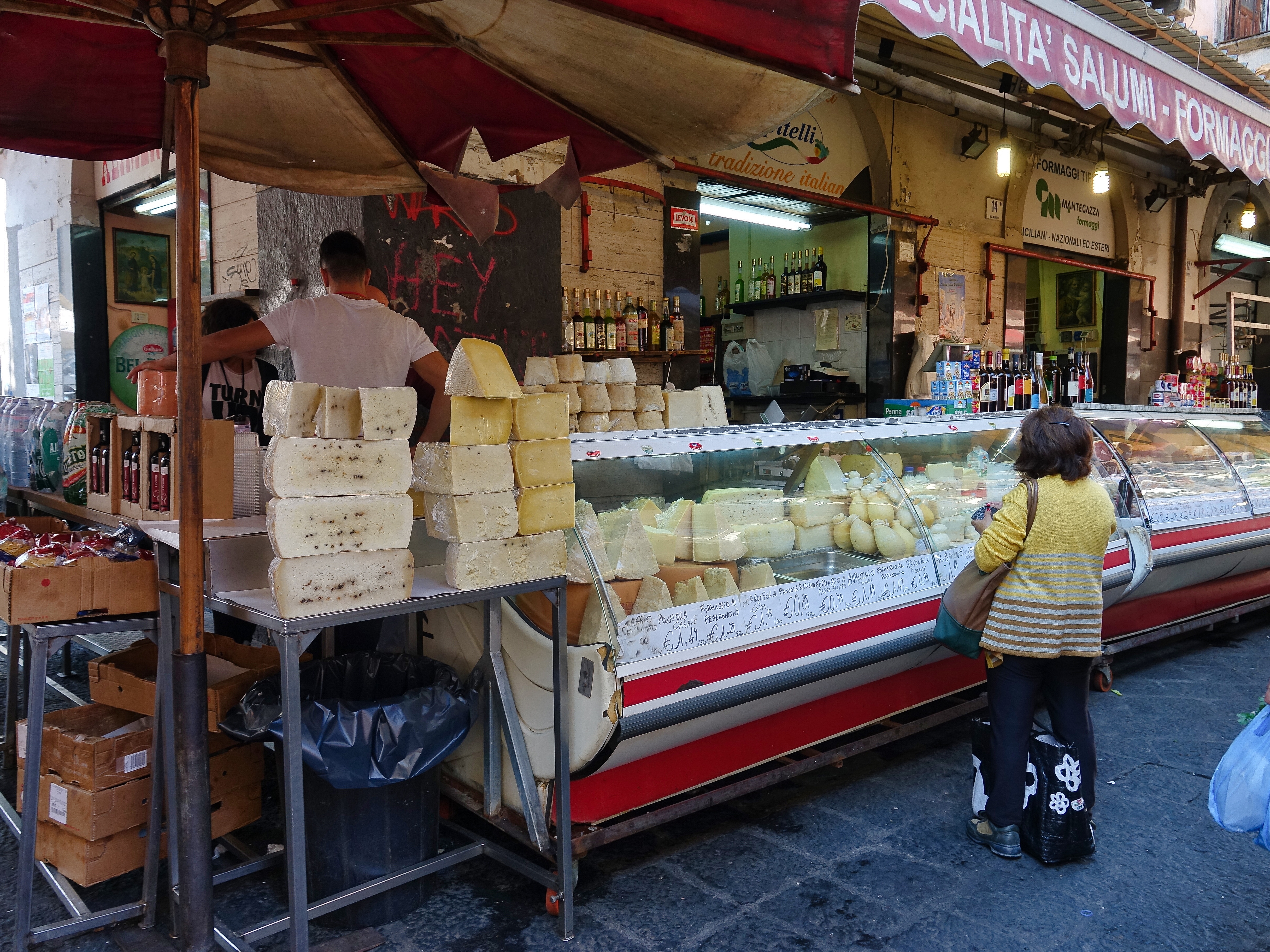 All kinds of cheese All kinds of cheese