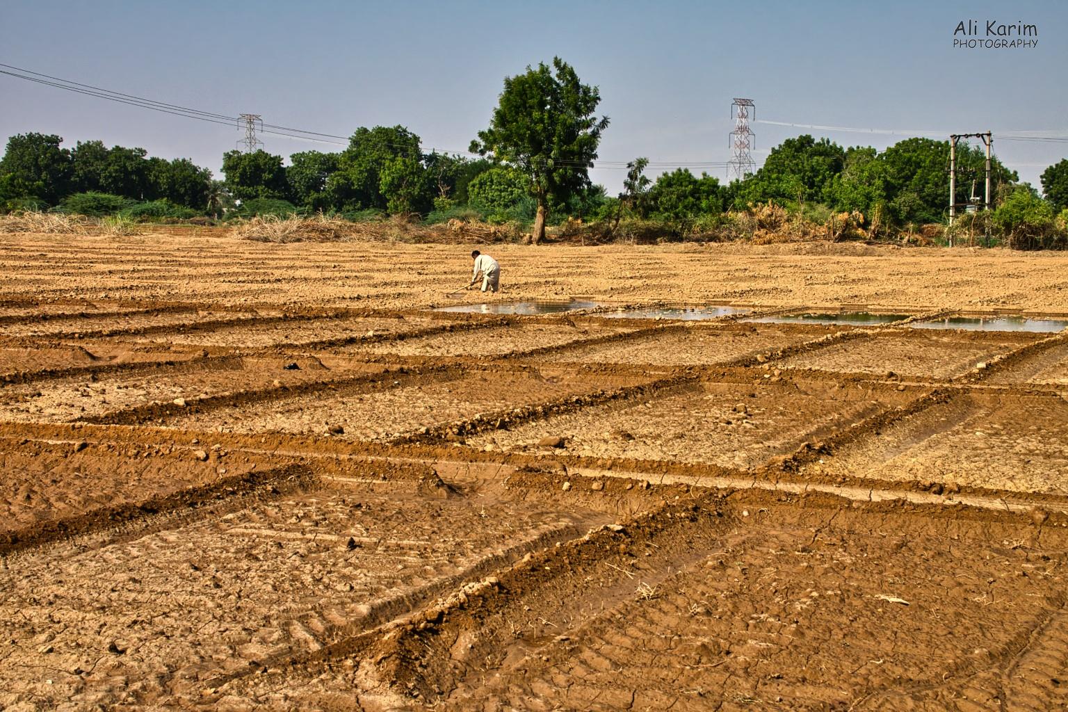 Crop farming Bhuj, Kutch, Gujarat Crop farming