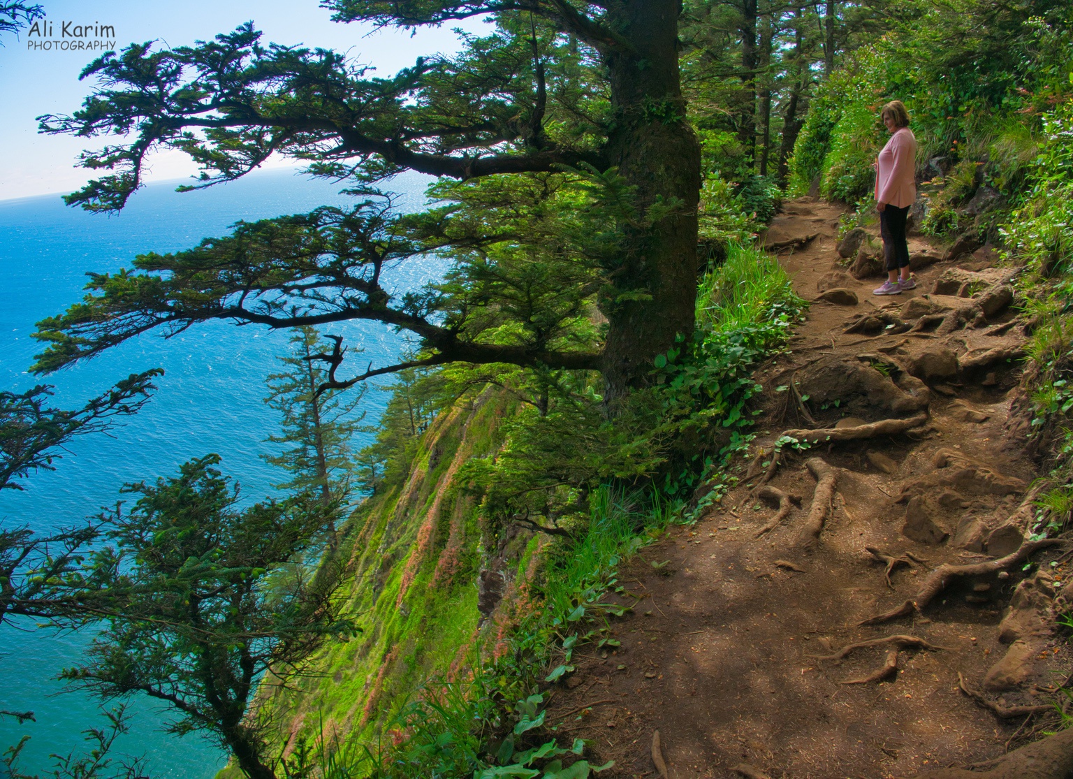 Trail was along steep cliffsides Oregon Coast Hwy 101 Trail was along steep cliffsides