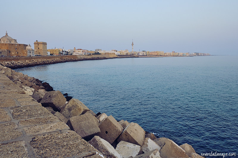 que ver en Cádiz en un dia