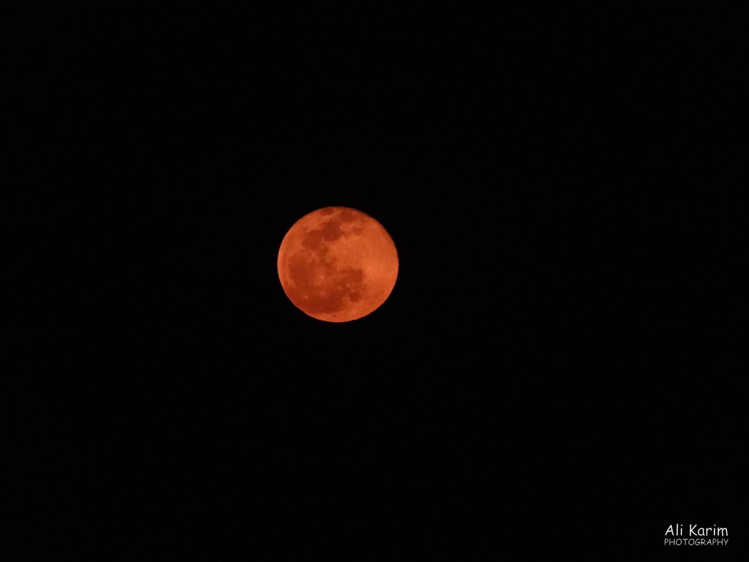 There was a blood moon one of the evenings we were there Veracruz, There was a blood moon one of the evenings we were there, December 2020, Mural