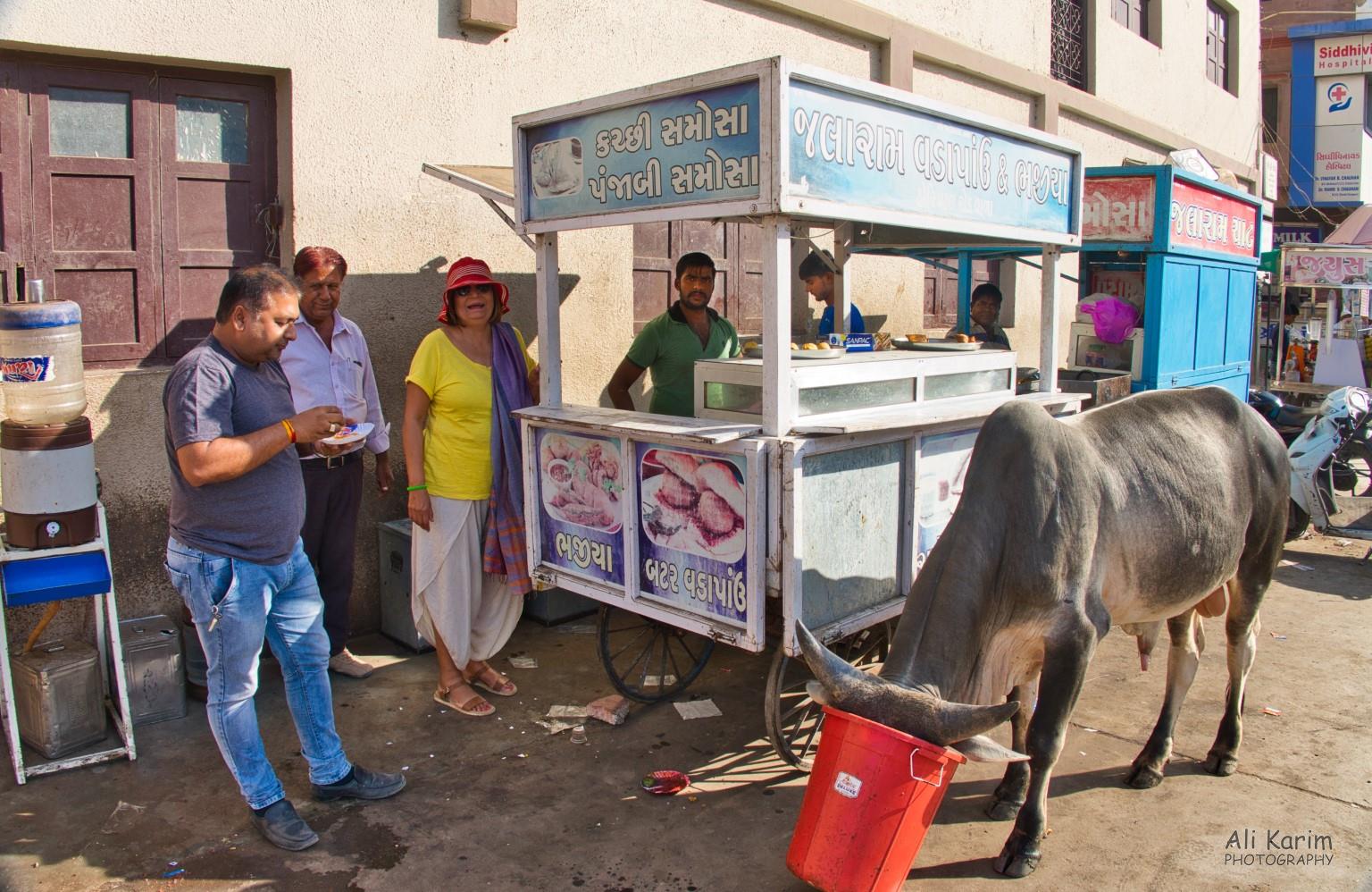 Bateta-vada stall; the bull strolled by and helped himself to food they leave out for the cows. More Bhuj Bateta-vada stall; the bull strolled by and helped himself to food they leave out for the cows.