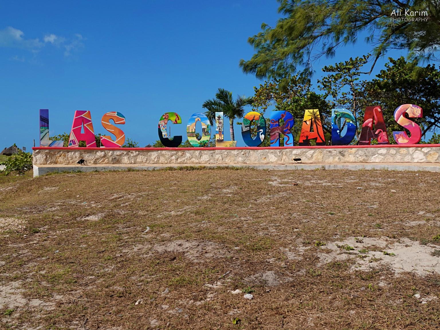Las Coloradas, fishing village Valladolid, Yucatan, Mexico Feb 2021, Las Coloradas, fishing village