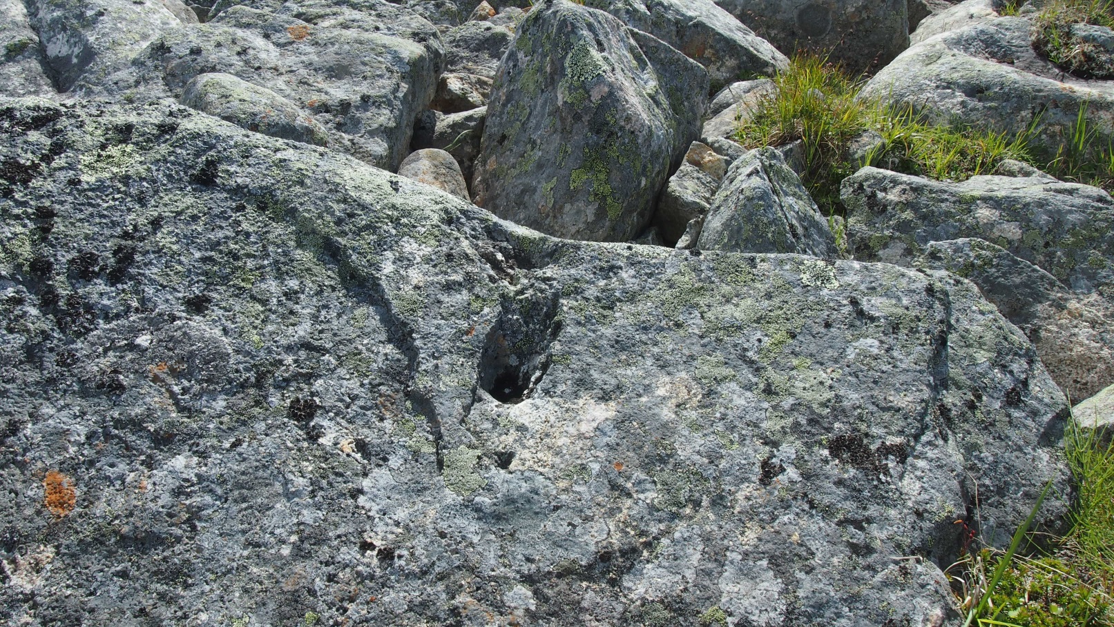 Minihiidenkirnu.