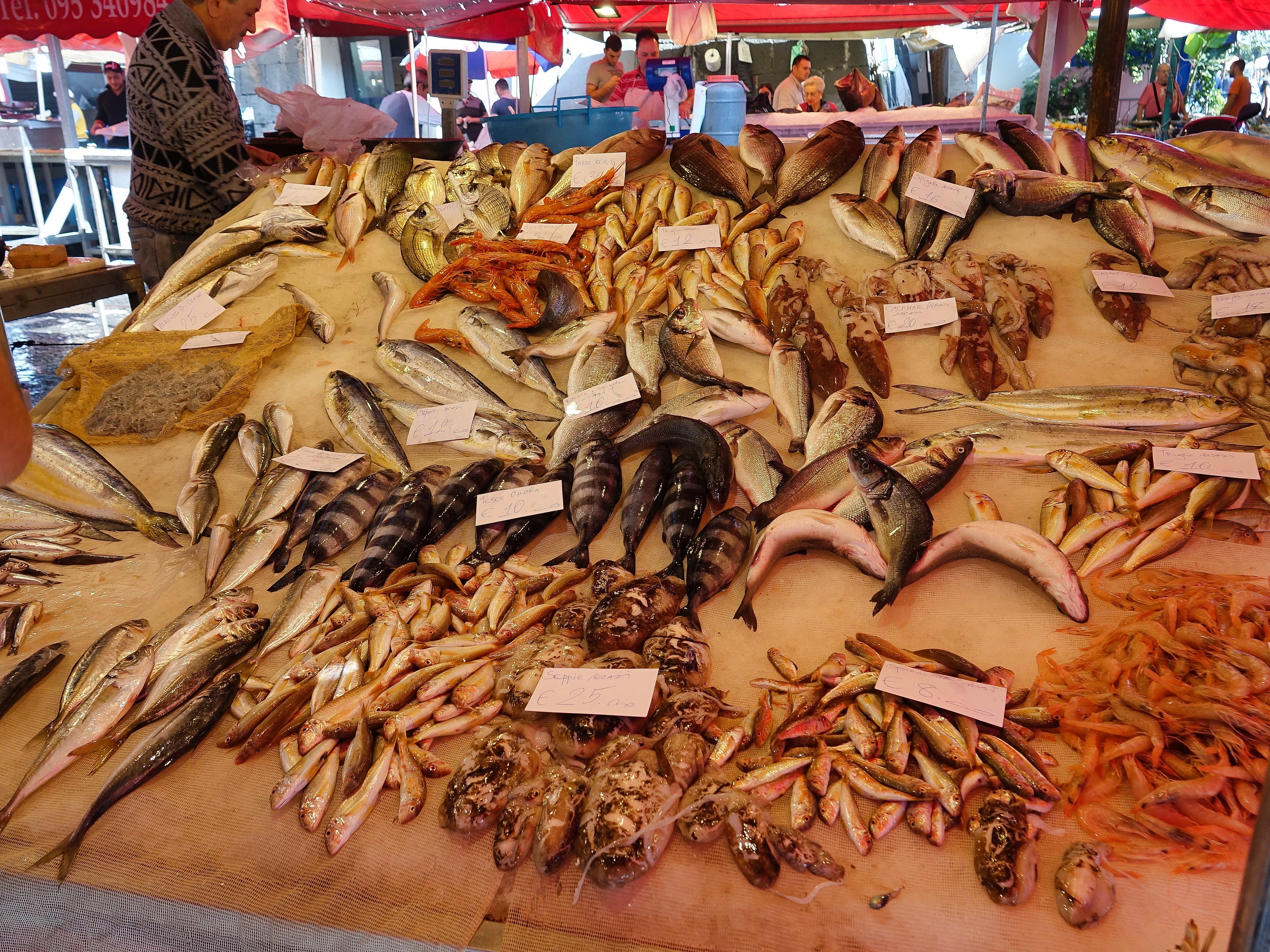 Feast of fresh seafood Feast of fresh seafood