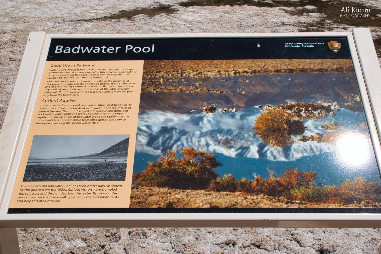 How Badwater Basin got its name Death Valley National Park, June 2020, How Badwater Basin got its name