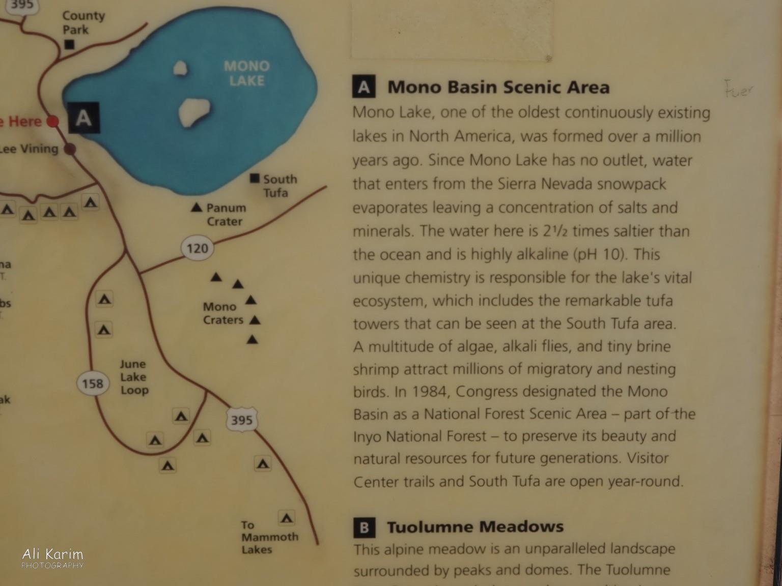 Yosemite to Death Valley, June 2020, About Mono lake